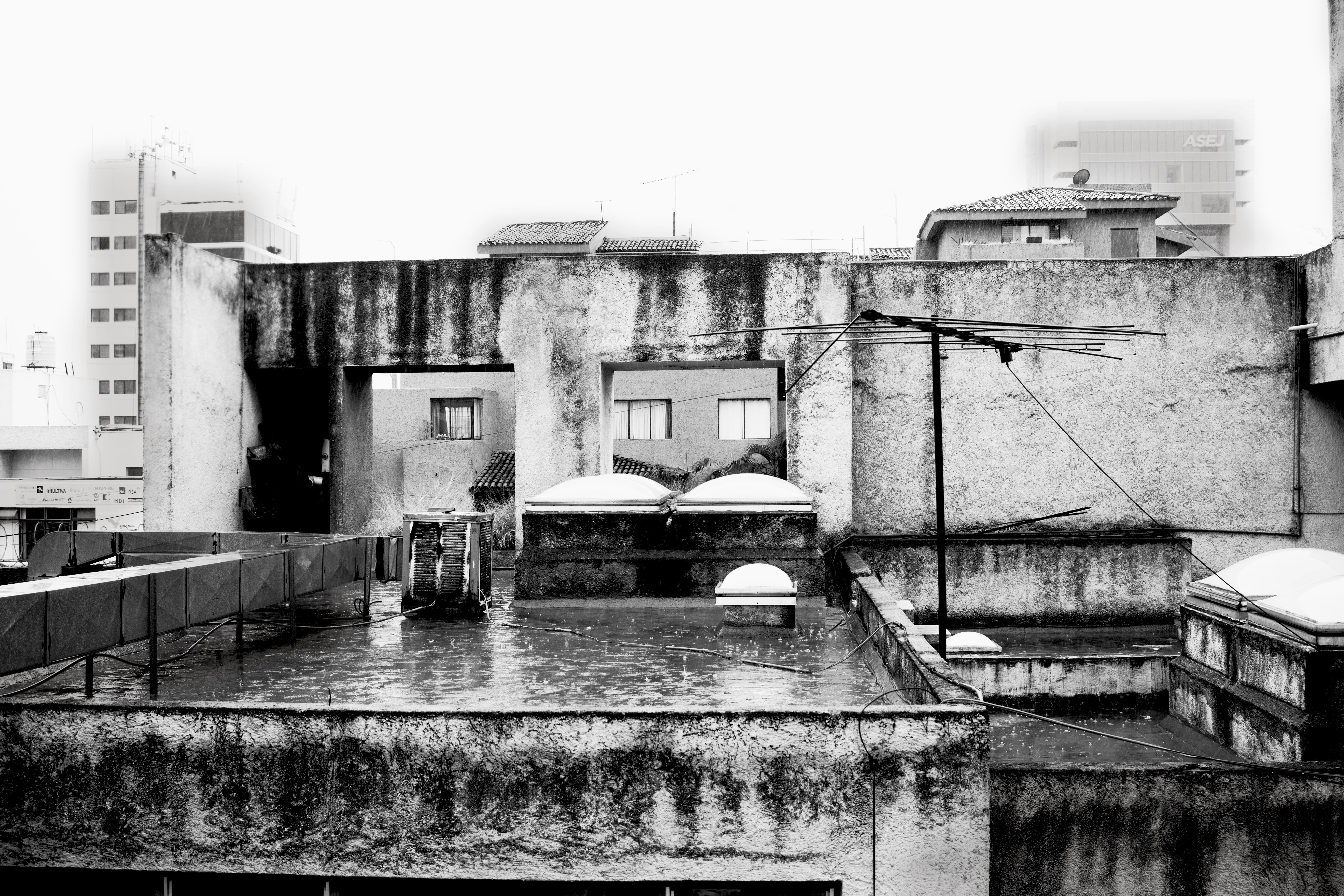 Free Unsplash photo from ALEJANDRO MOLINA