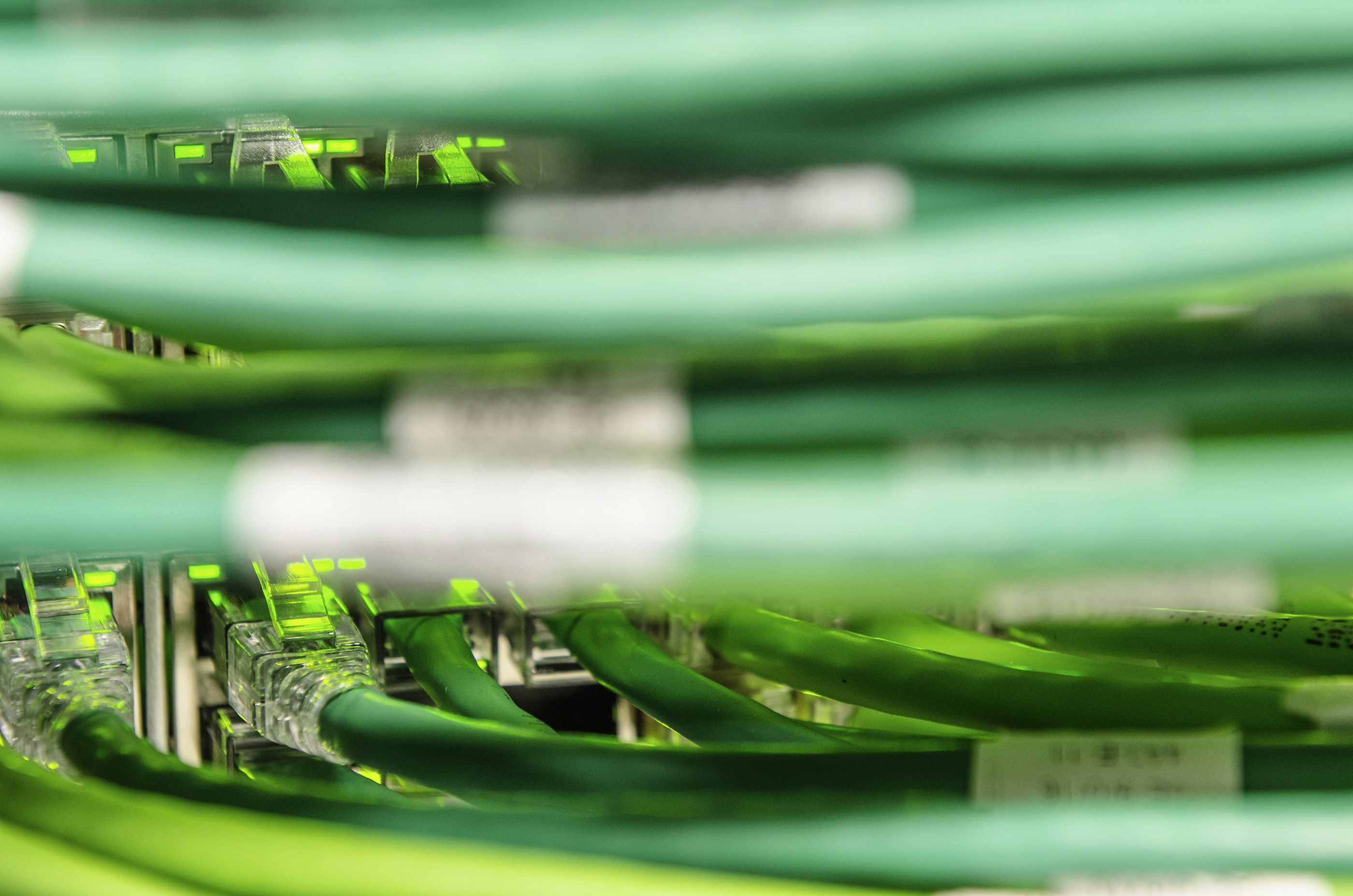 Photo By jesse orrico