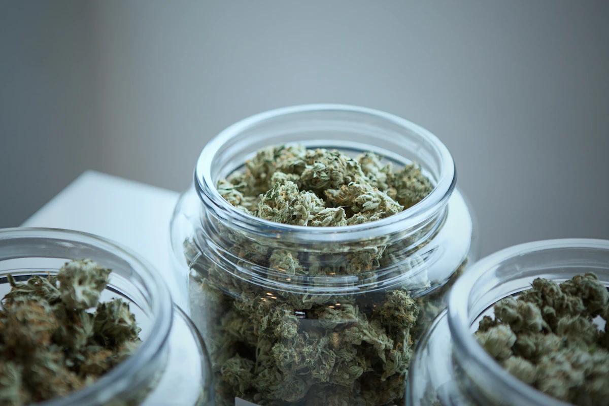 Cannabis flower stored in airtight clear glass jars to preserve terpenes and potency