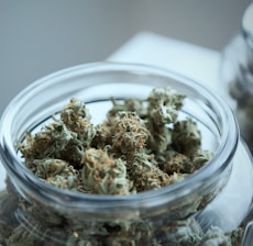 green cannabis on clear glass jar