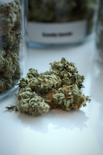 A close-up shot of cannabis buds placed on a reflective surface, surrounded by glass jars, one of which has a label visible in the background.