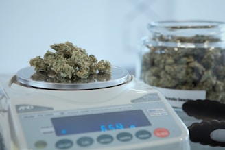 A digital scale displays a weight measurement while holding a pile of dried cannabis buds. In the background, there is a glass jar containing more cannabis buds.