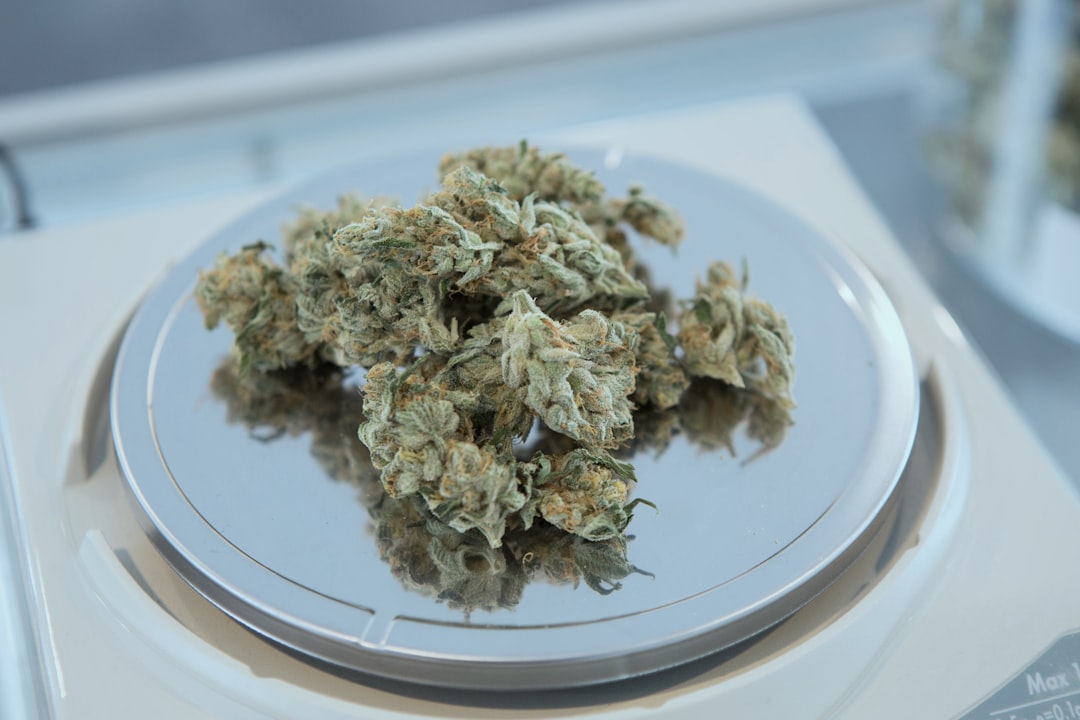 green Cannabis on round gray scale,