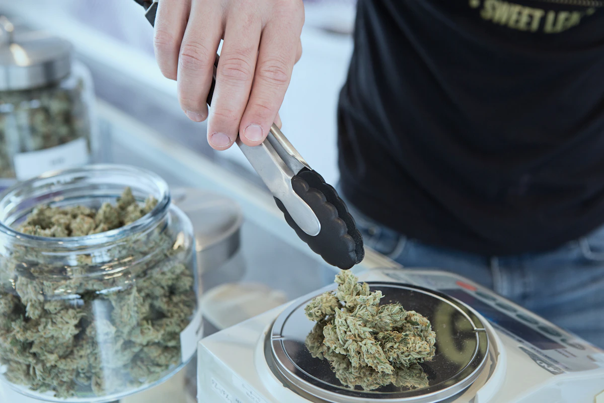 Budtender weighing cannabis flower on a scale beside labeled stock jars at a licensed dispensary