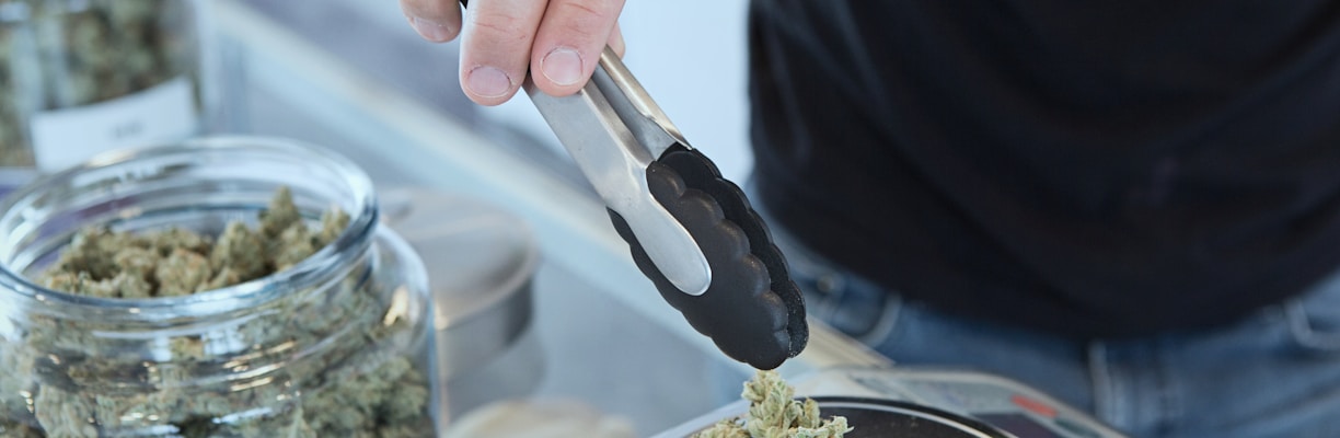 person holding grey tongs and kush