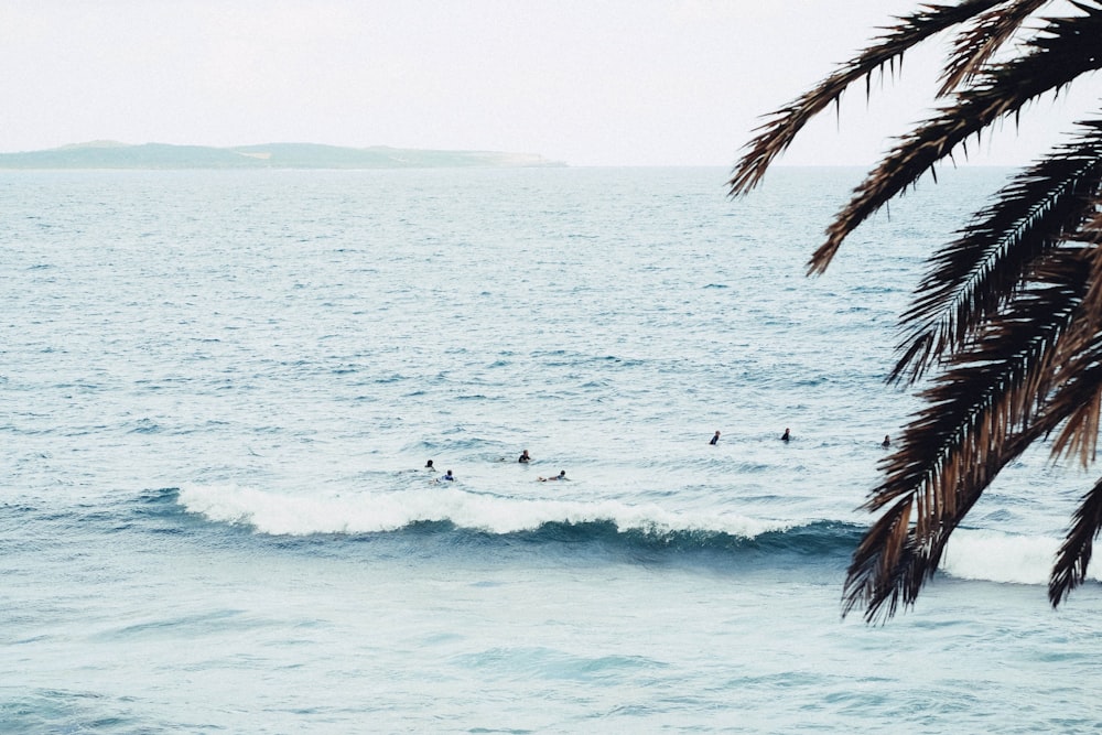 people swimming on sea during daytime