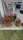 Elegant textured concrete planters with green plants arranged neatly on a bright porch with modern decor.