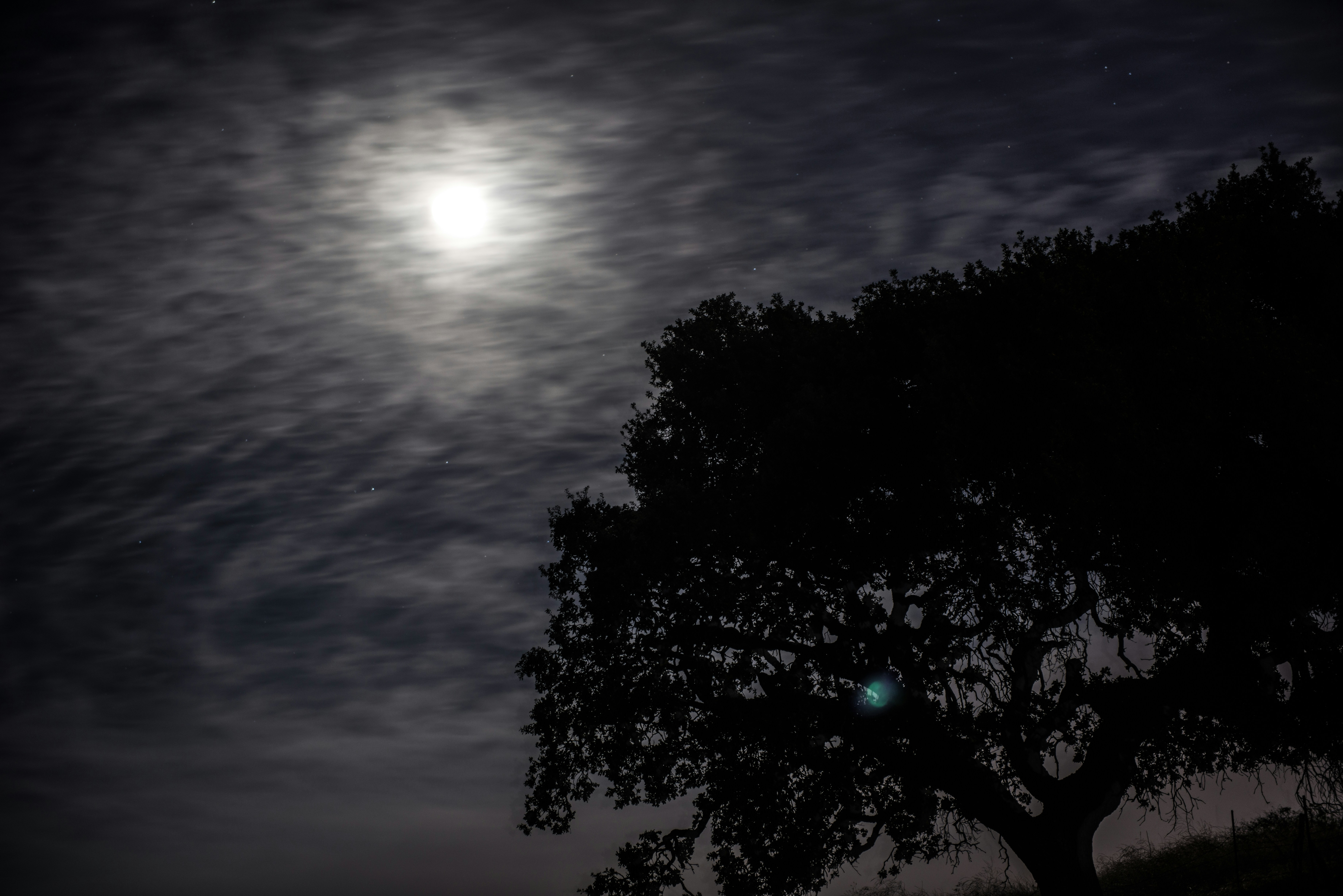 Free Unsplash photo from Jaspreet Singh