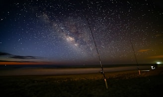 A night-time beach scene with a star-filled sky prominently showcasing the Milky Way galaxy. Two fishing poles are planted in the sand near the water's edge, and there are distant lights visible on the horizon.