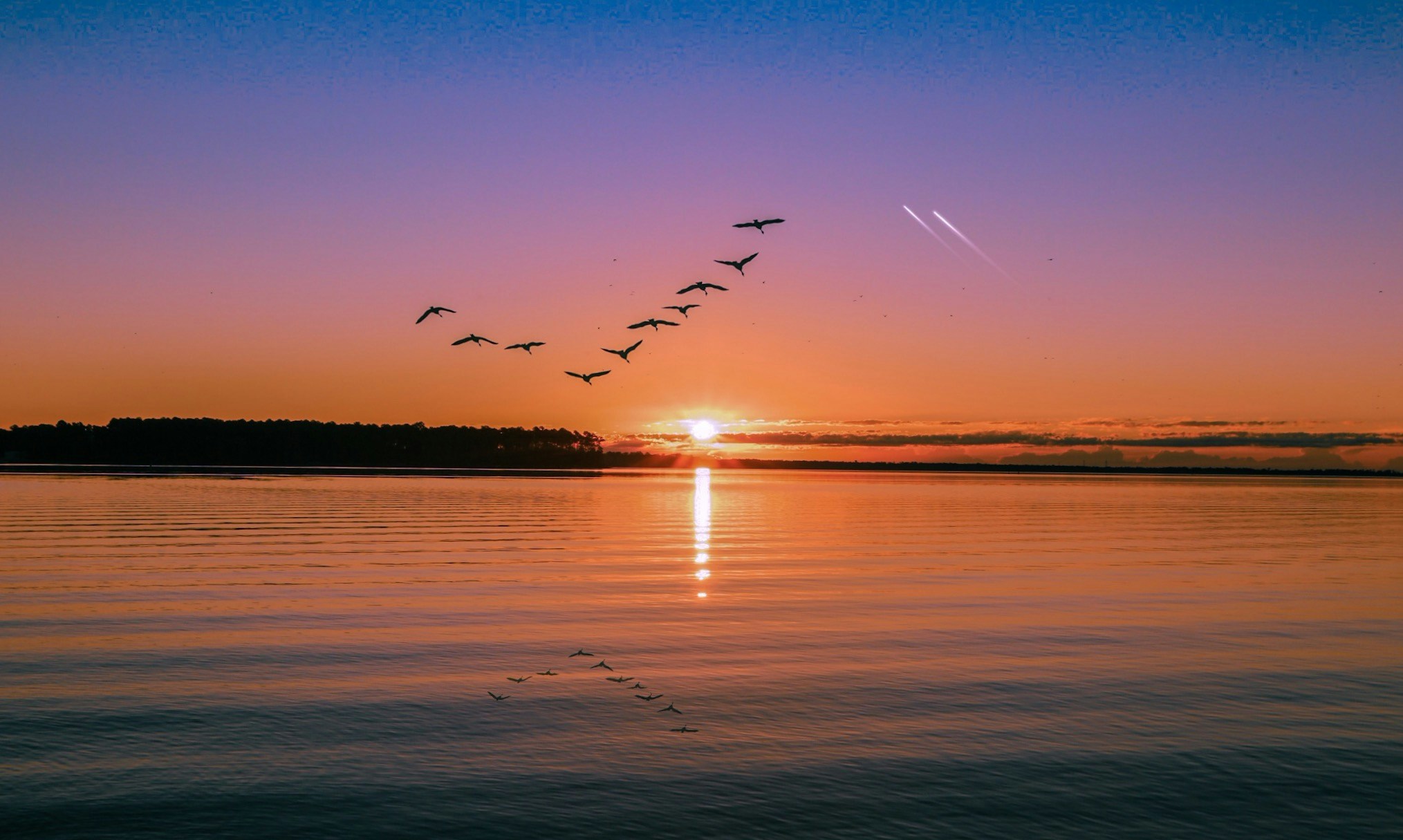 Free Unsplash photo from Todd DeSantis