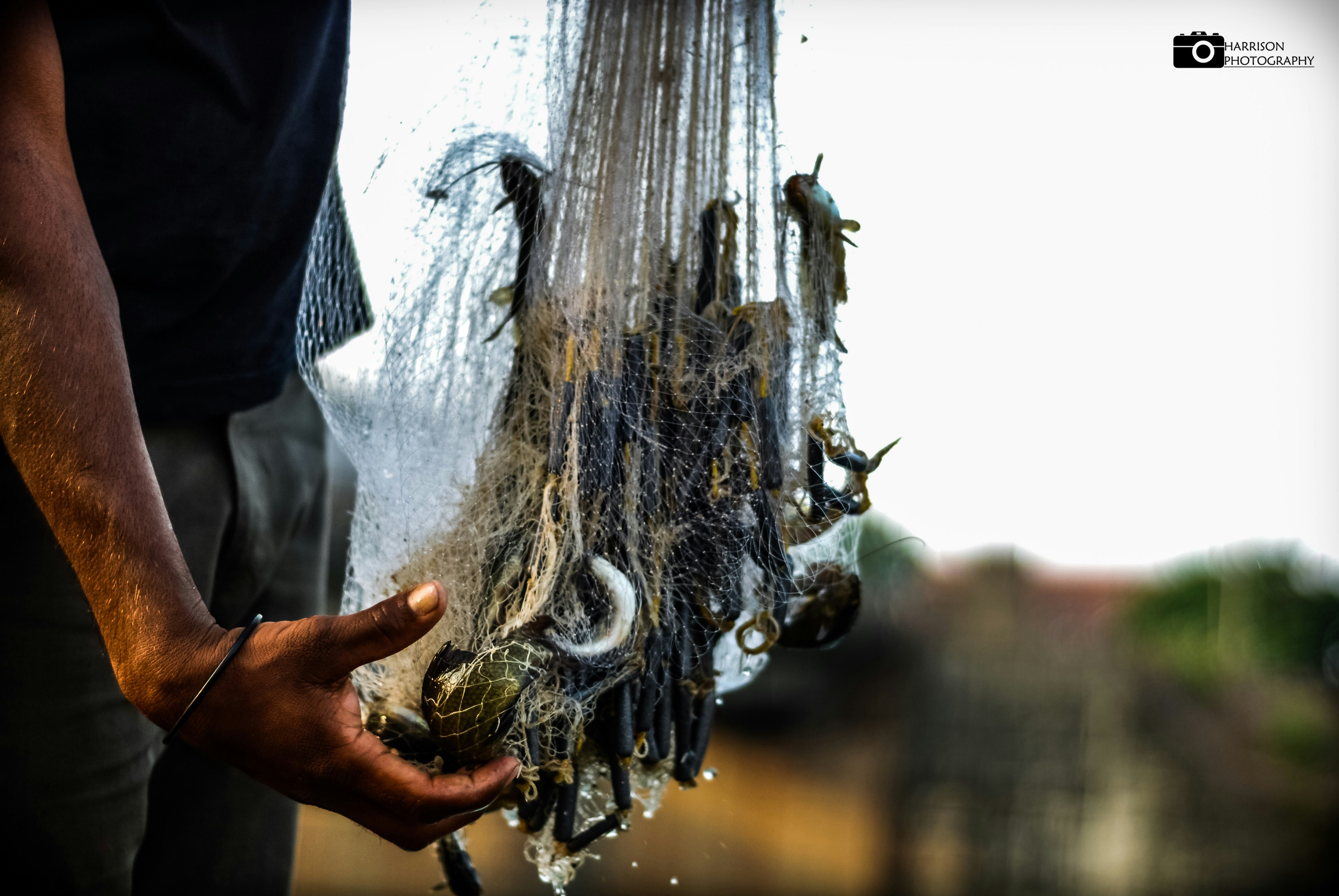 Free Unsplash photo from harrison samson