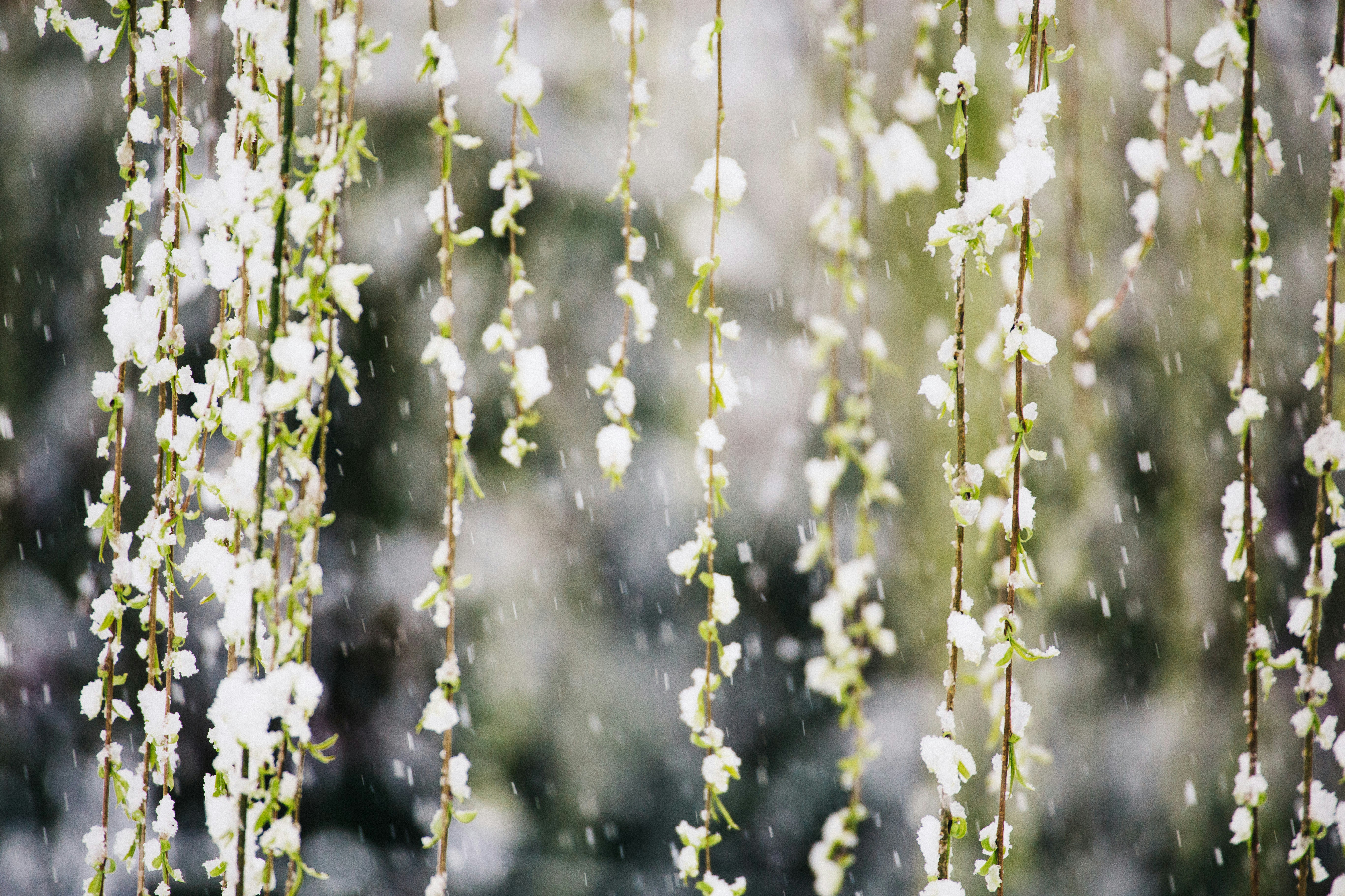 Photo By Francesco Gallarotti