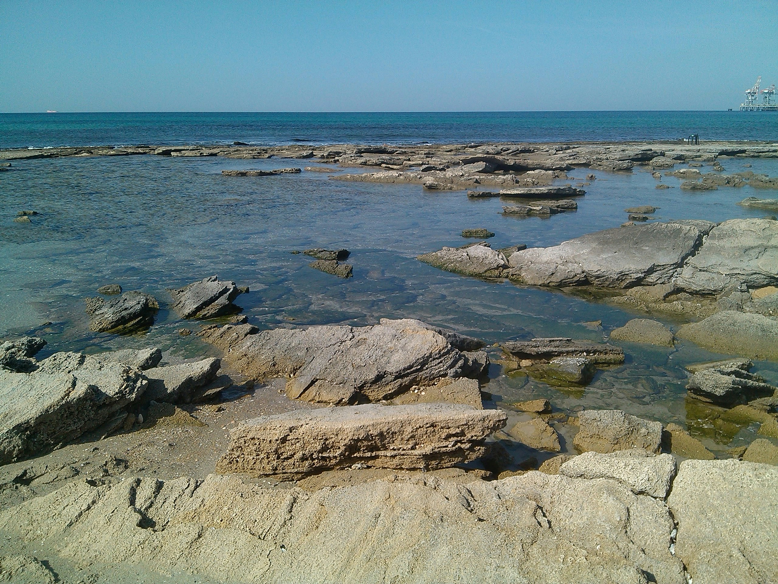 Free Unsplash photo from Eli Cohen