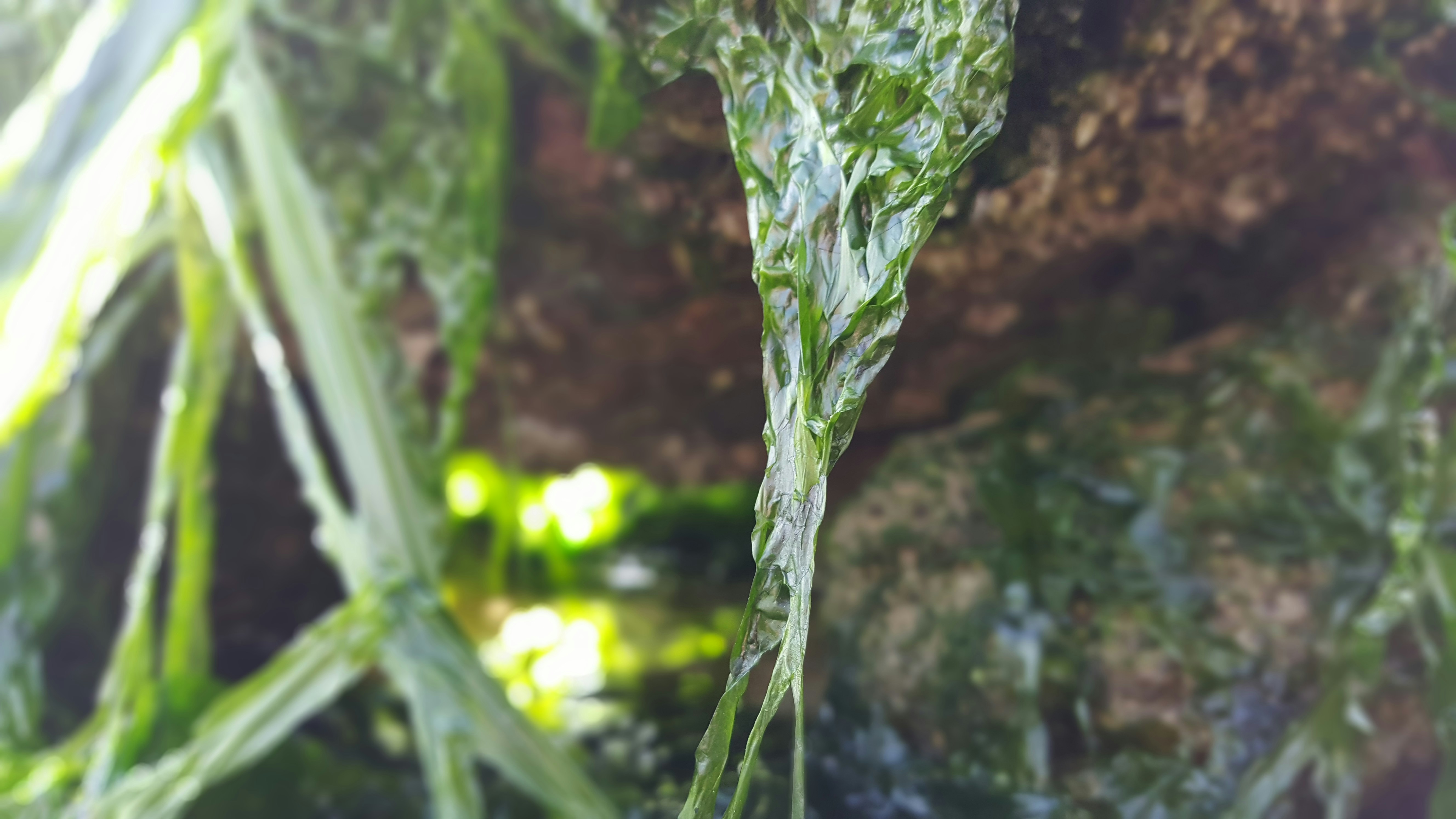 Free Unsplash photo from Abdul-Razak Ghannam