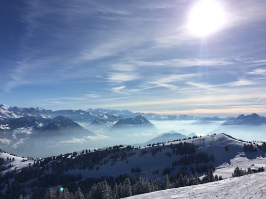 Rigi Mountain things to do in Samstagern
