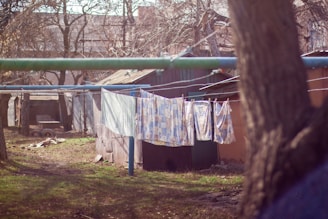 Clothes are drying on a line outdoors in a rustic backyard setting. The area is surrounded by makeshift structures and leafless trees, indicating a rural or underdeveloped location. The foreground features grass and bare patches of ground, while the background includes a wooden shed and older buildings.