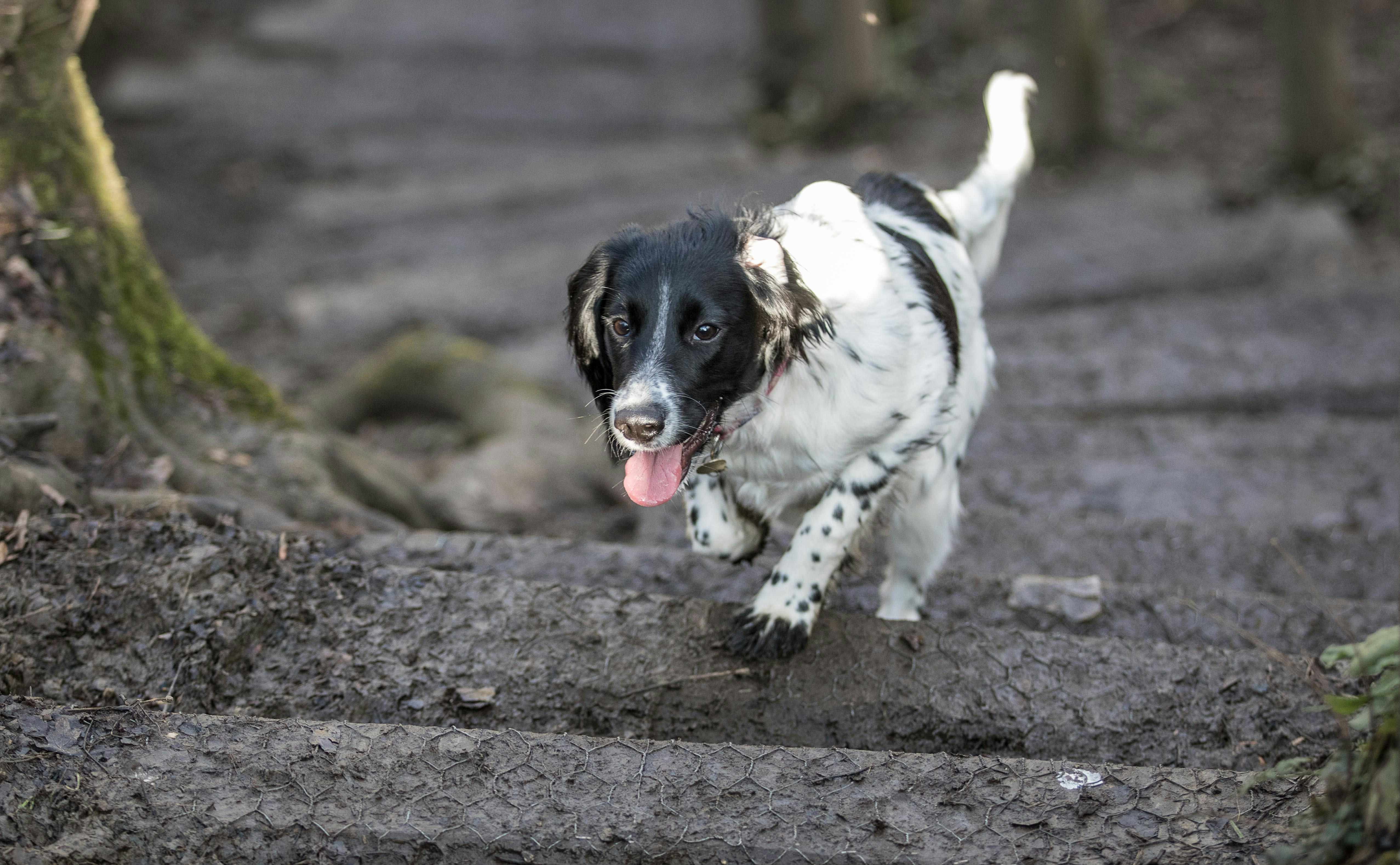 Free Unsplash photo from Carl Revell