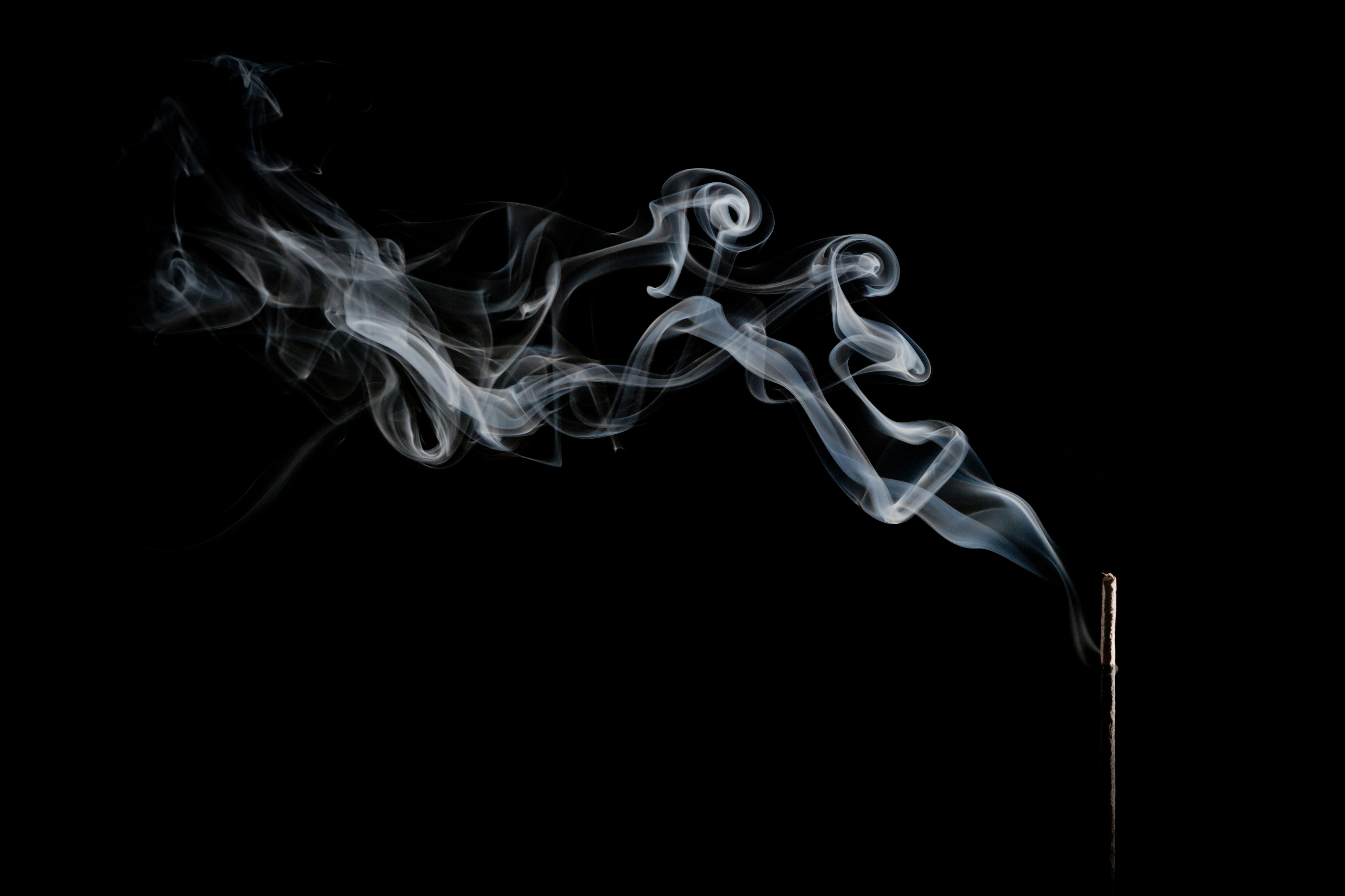 Free Unsplash photo from Carl Revell