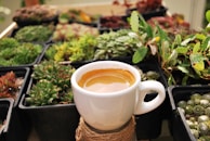 A vibrant ceramic cup filled with steaming coffee, placed beside a small succulent.