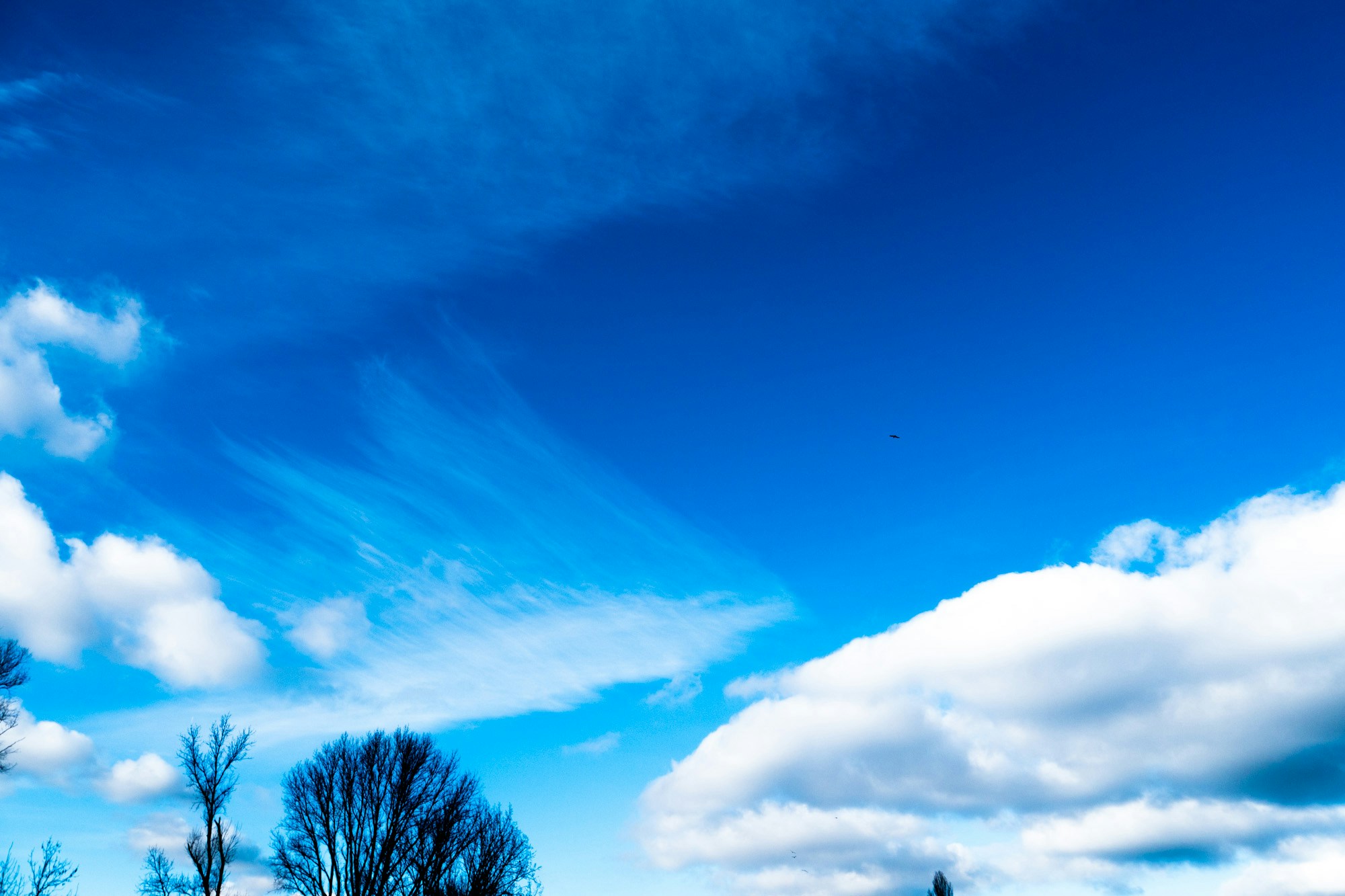 Free Unsplash photo from Lisa Henkel