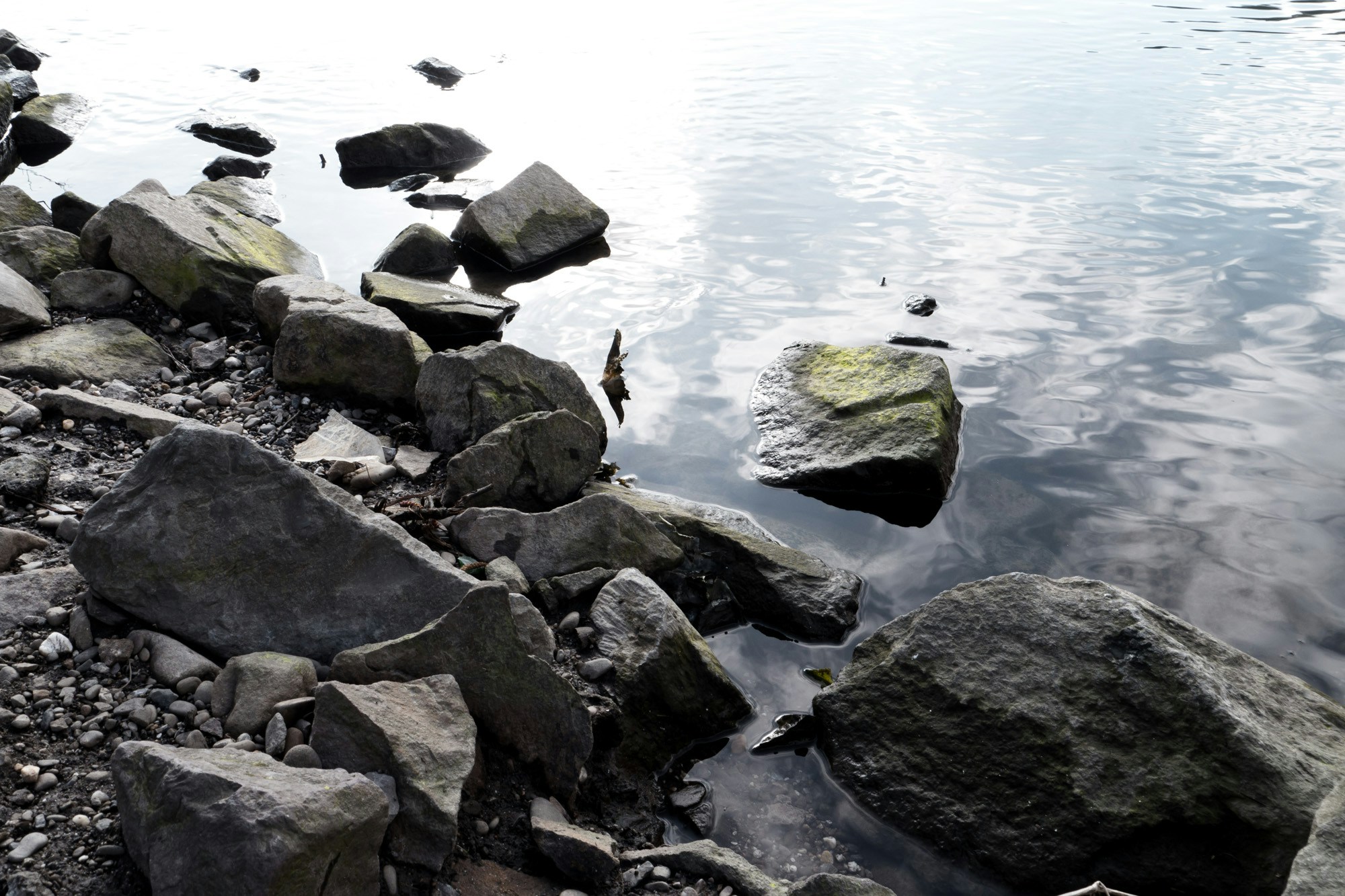 Free Unsplash photo from Lisa Henkel