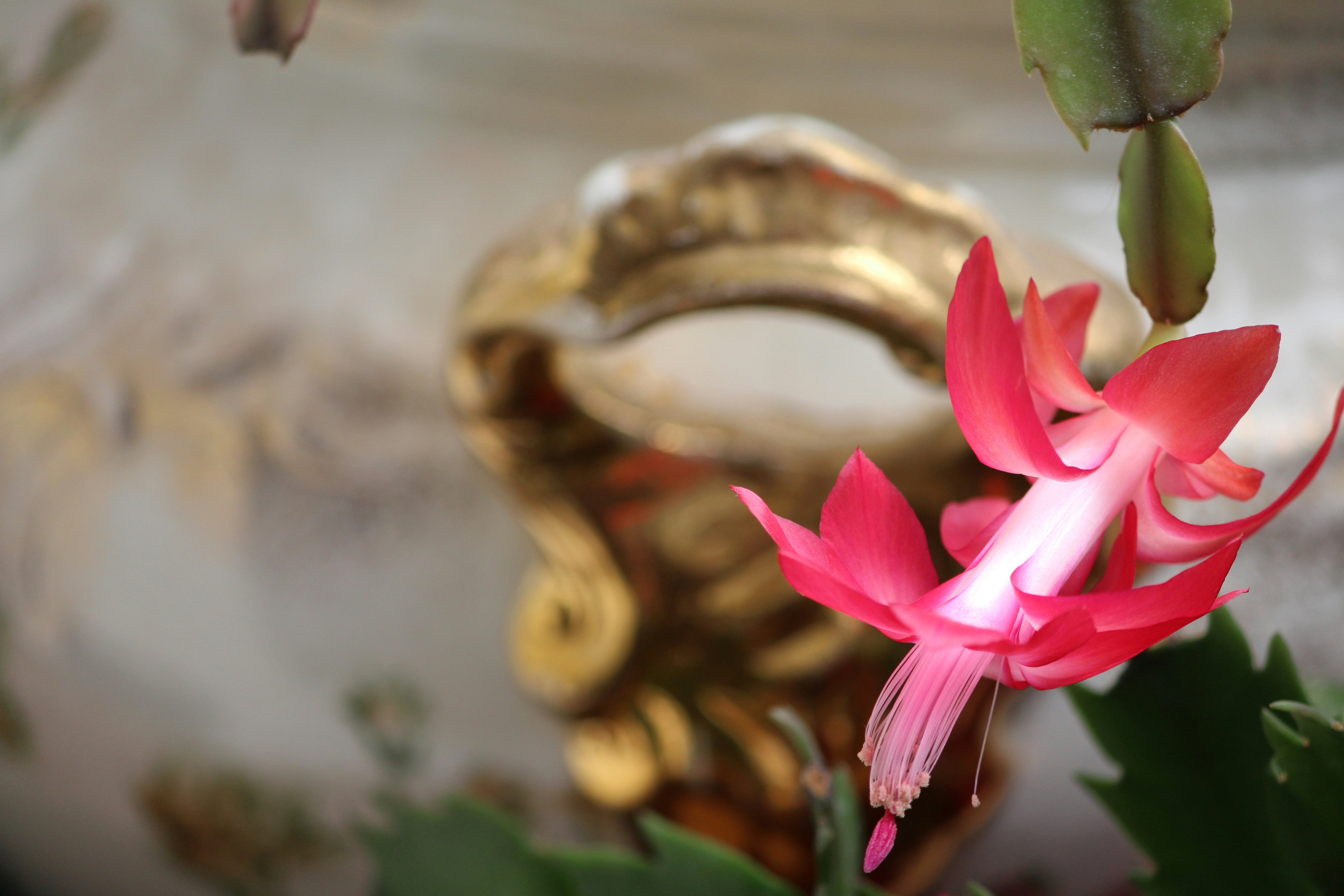 Free Unsplash photo from Jacob Ducey