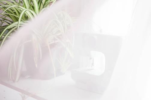 A sewing machine is partially visible through a sheer curtain, with a potted plant exhibiting long, thin leaves in the background. The scene is brightly lit, giving it a soft, ethereal quality.