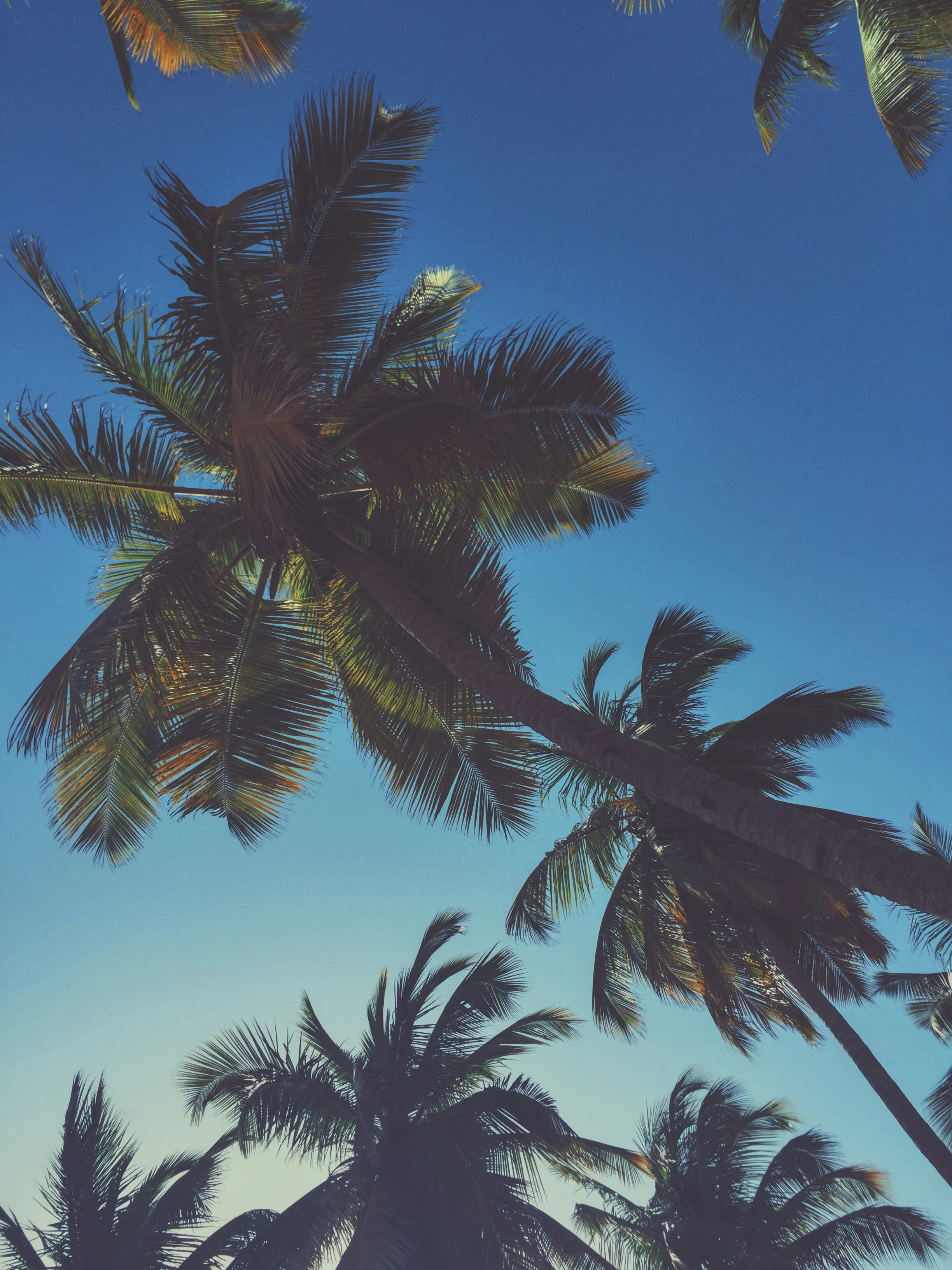 Free Unsplash photo from John Breland 3