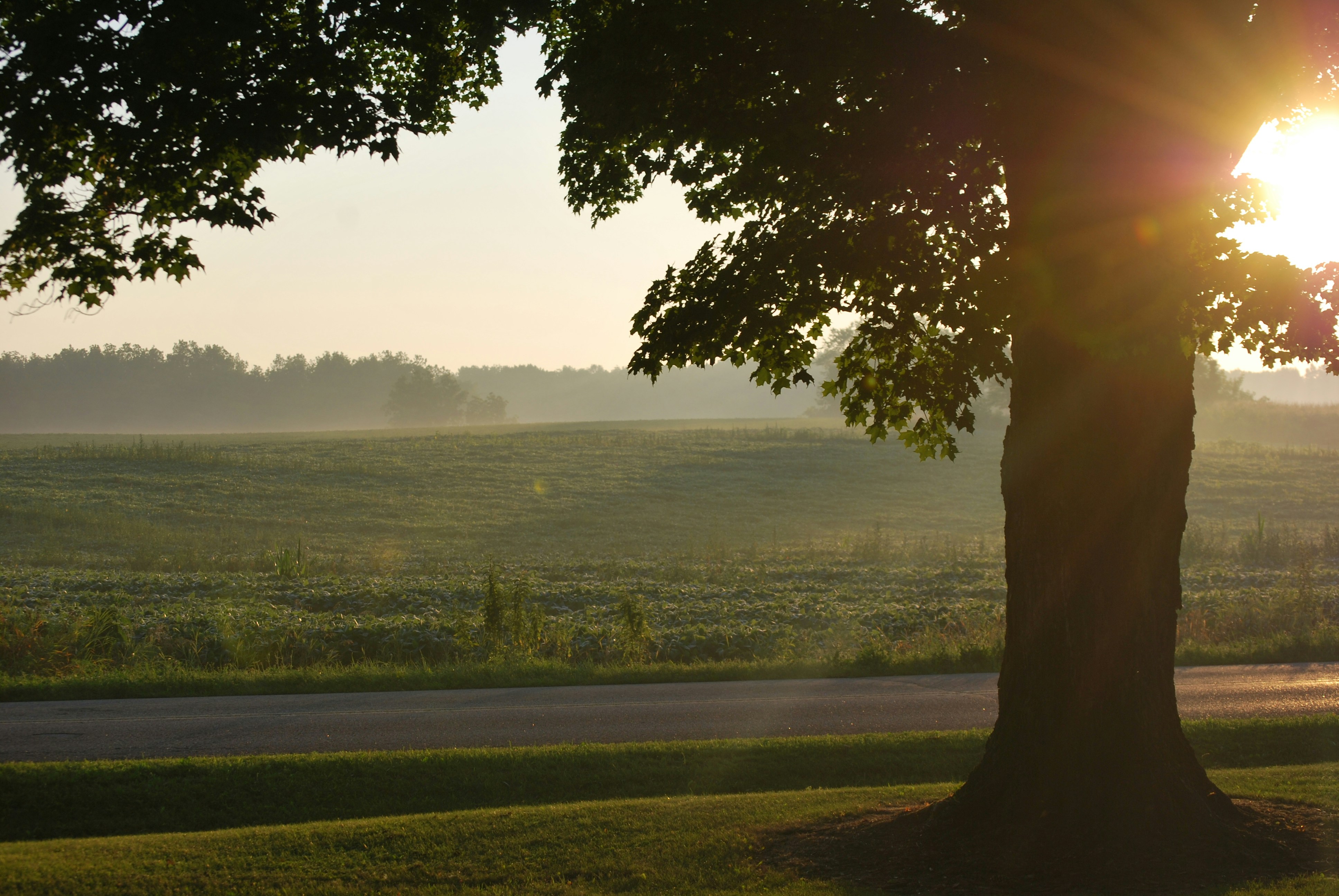 Free Unsplash photo from john bruski