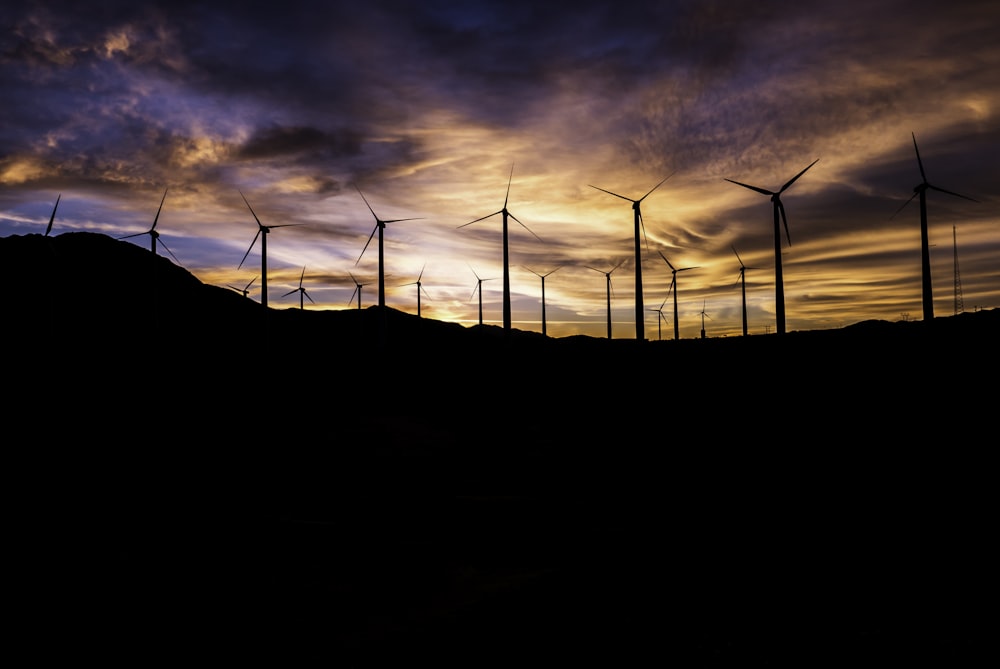 silhouette of windmills during golden hour