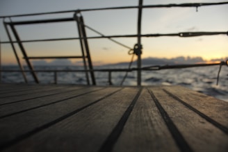 A family enjoying a sunny deck with soft gold accents on a luxurious yacht.