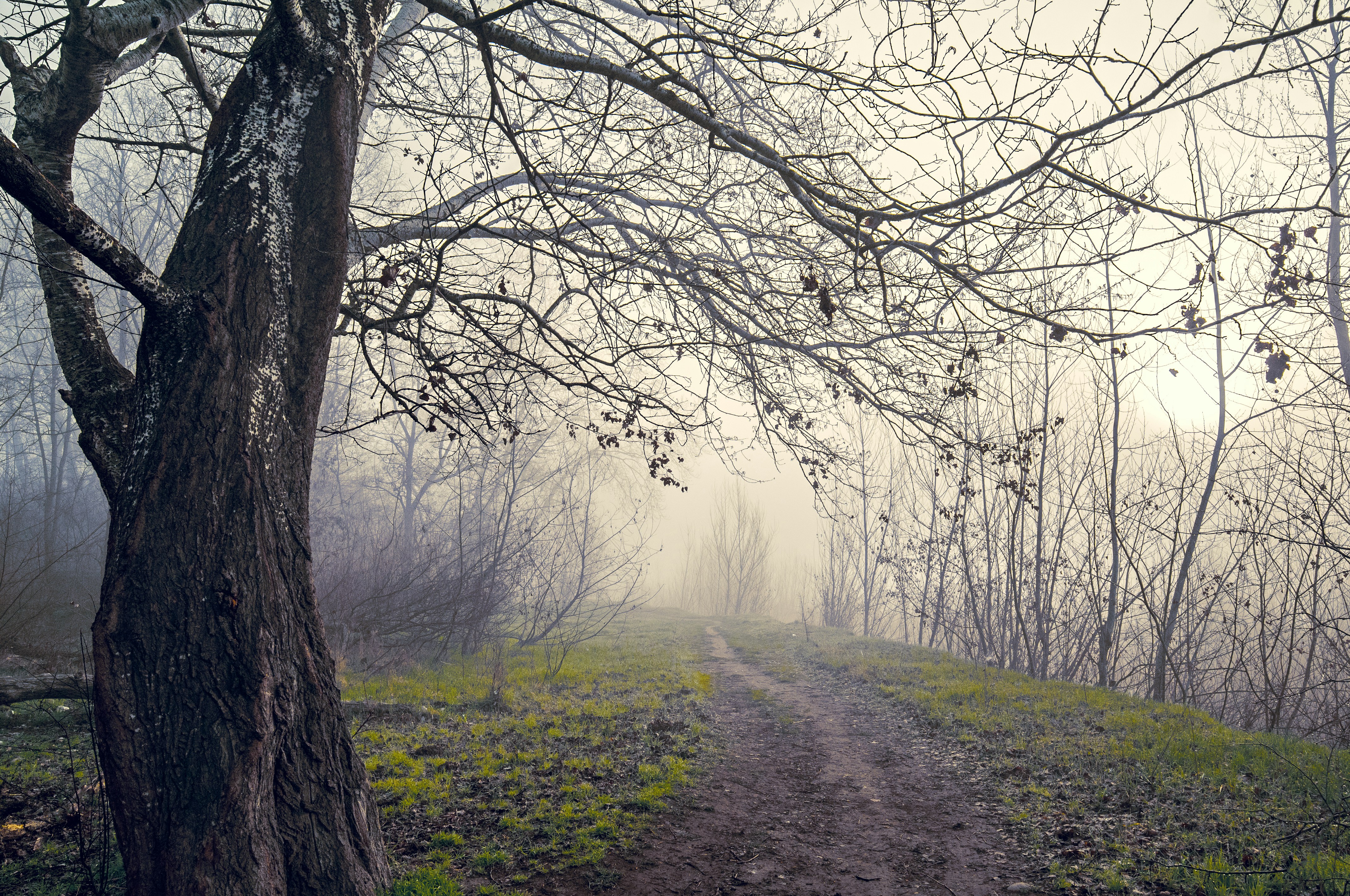 Free Unsplash photo from Sergey Bakhvalov