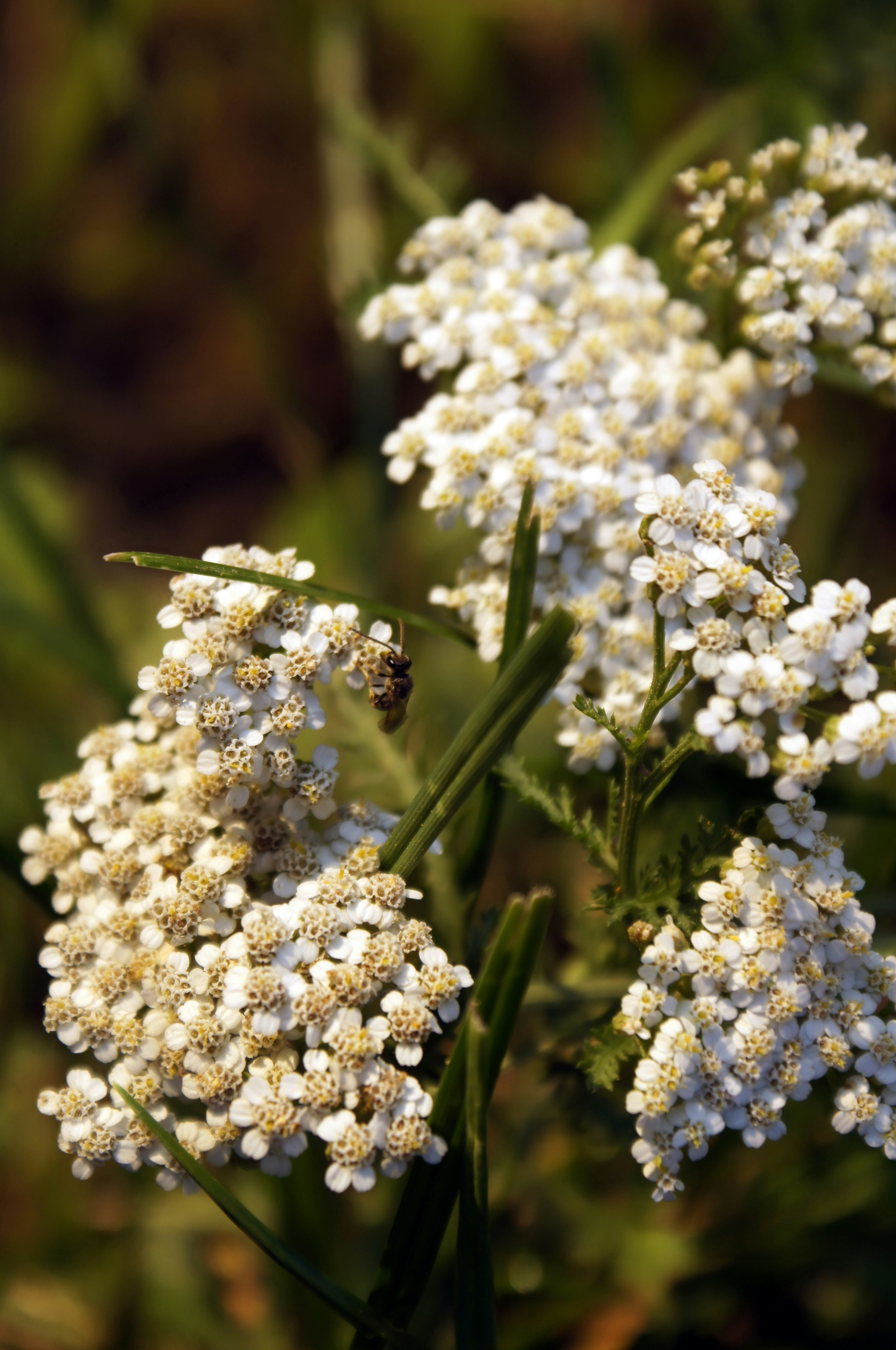 Free Unsplash photo from Stanislav Štajer