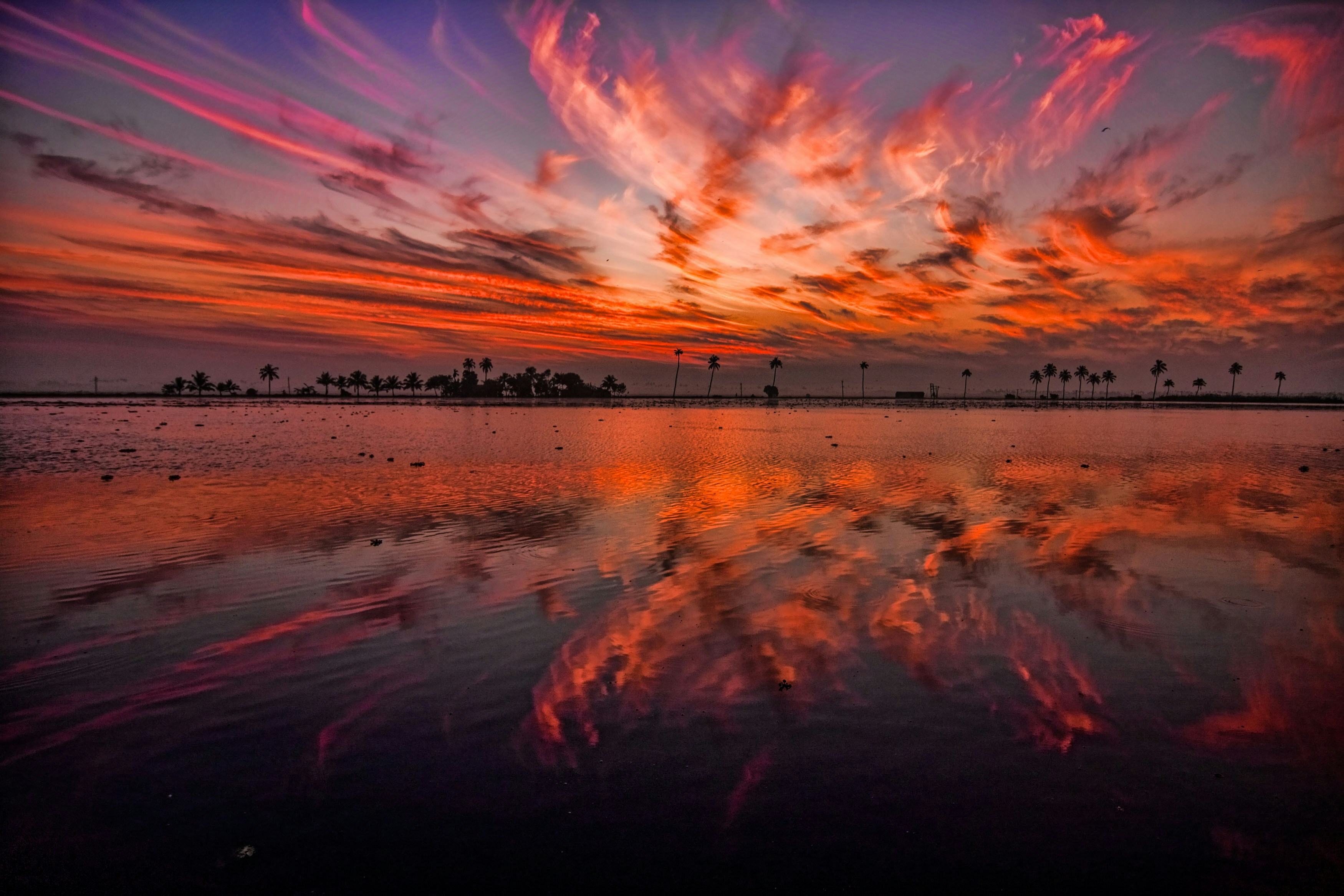 Free Unsplash photo from Sholto Ramsay