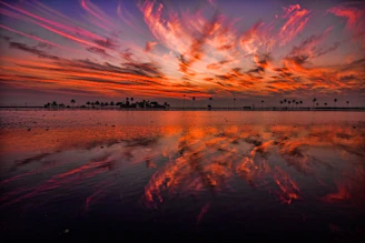 Sunset over palm-fringed Bayahibe beach with vibrant orange and pink skies.