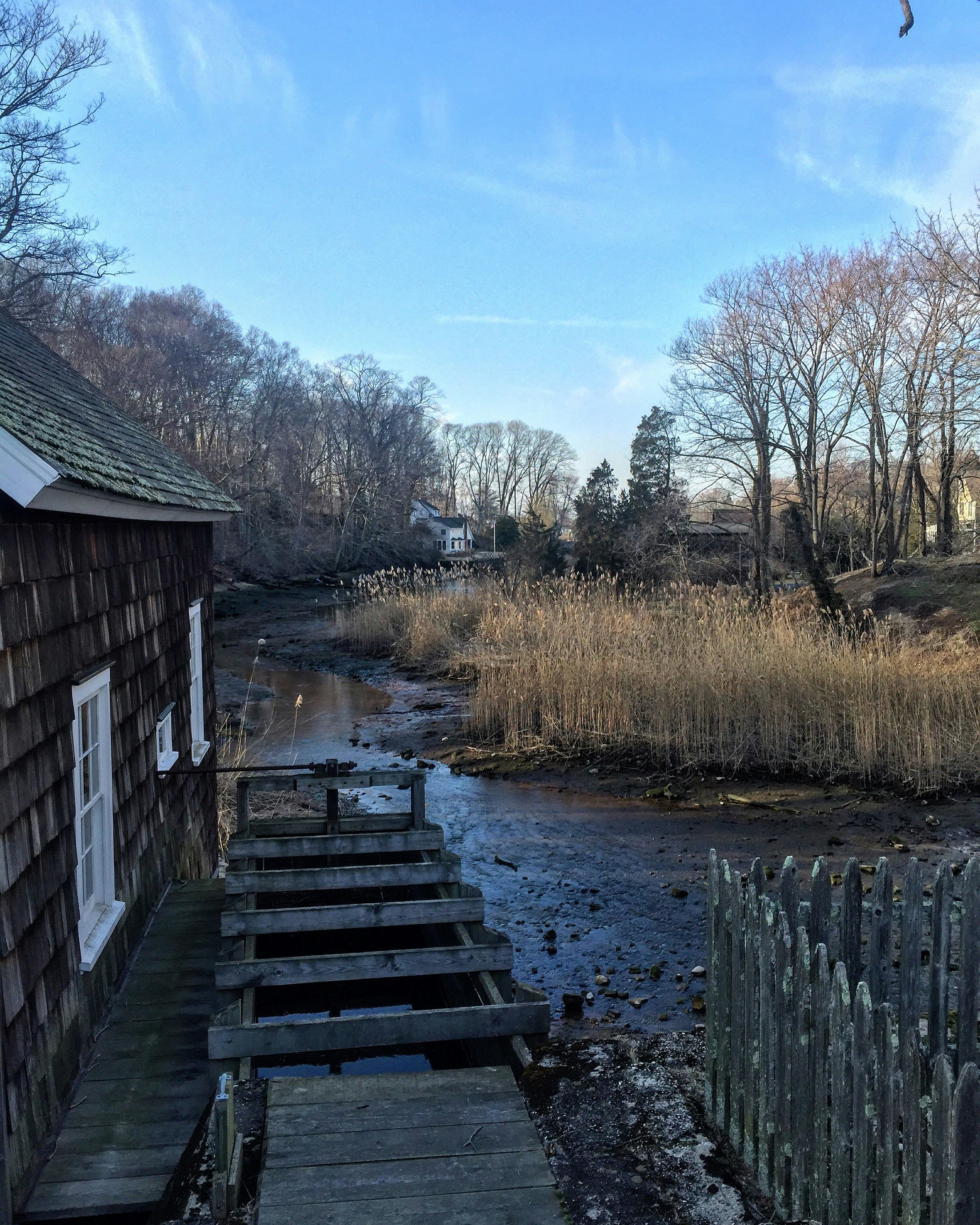 Free Unsplash photo from Nicholas Colonna