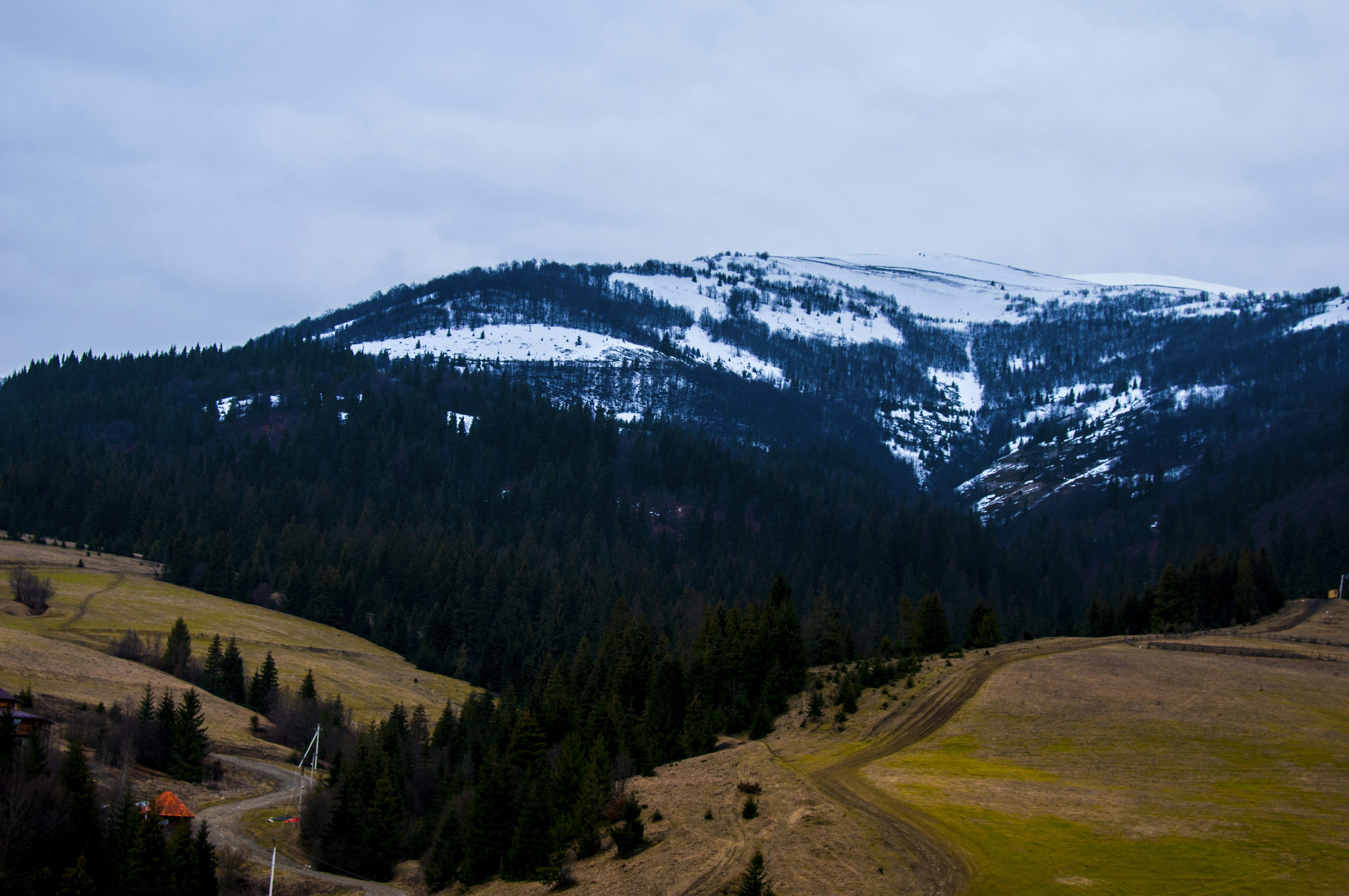 Free Unsplash photo from Roman Skrypnyk