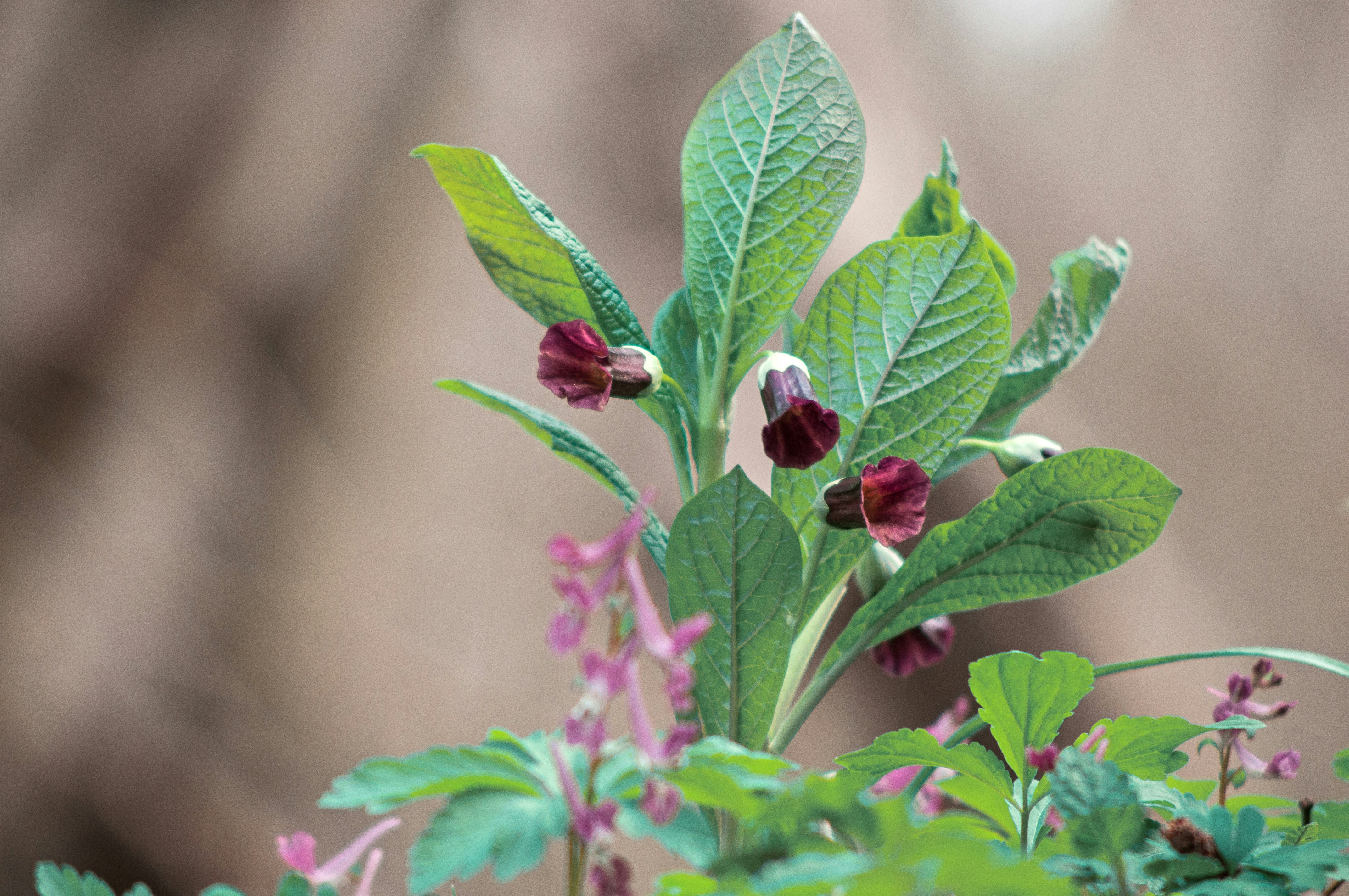 Free Unsplash photo from Sergey Bakhvalov