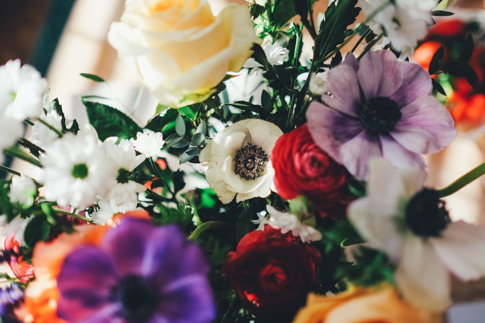 assorted-color flowers