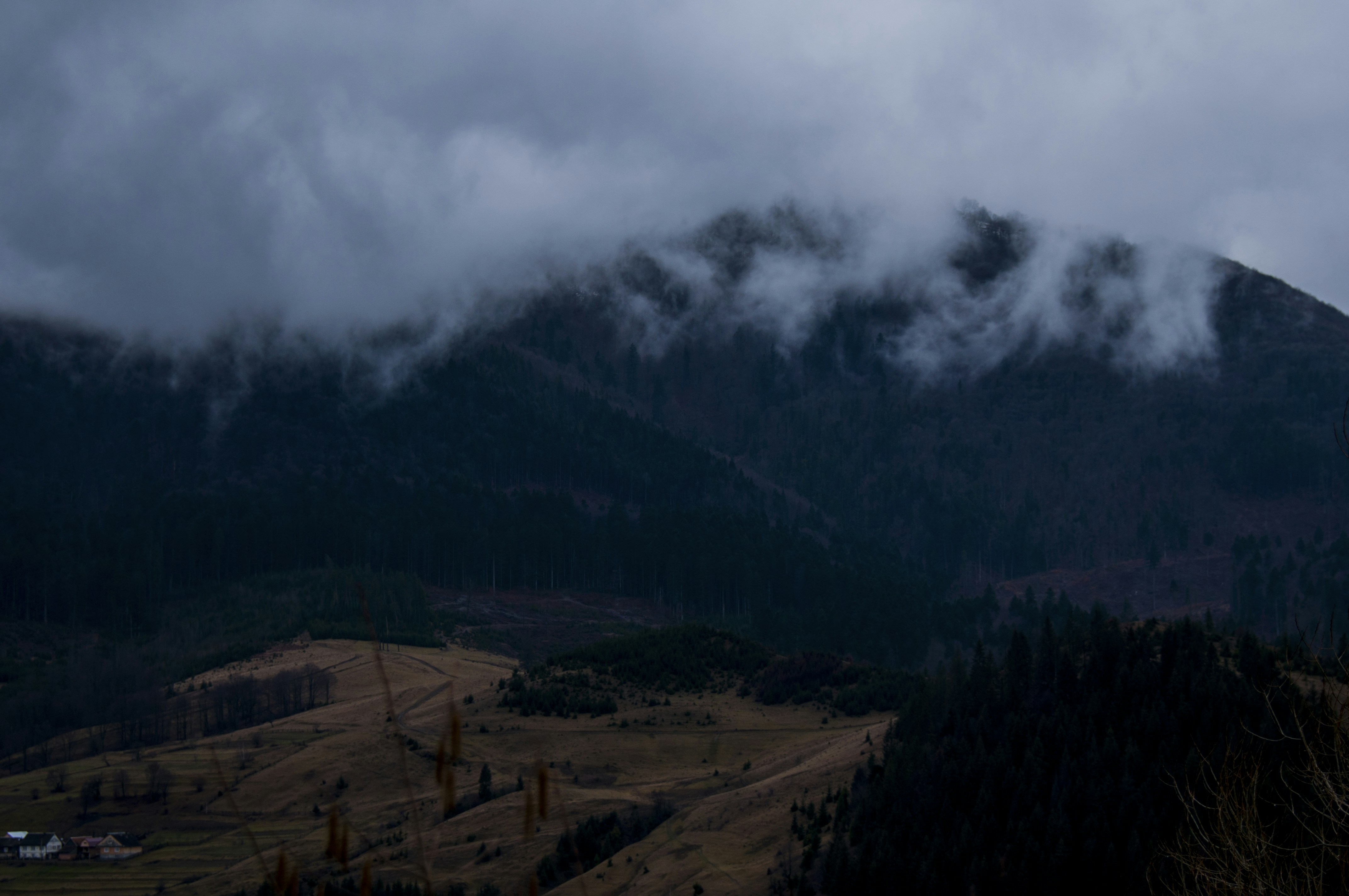 Free Unsplash photo from Roman Skrypnyk