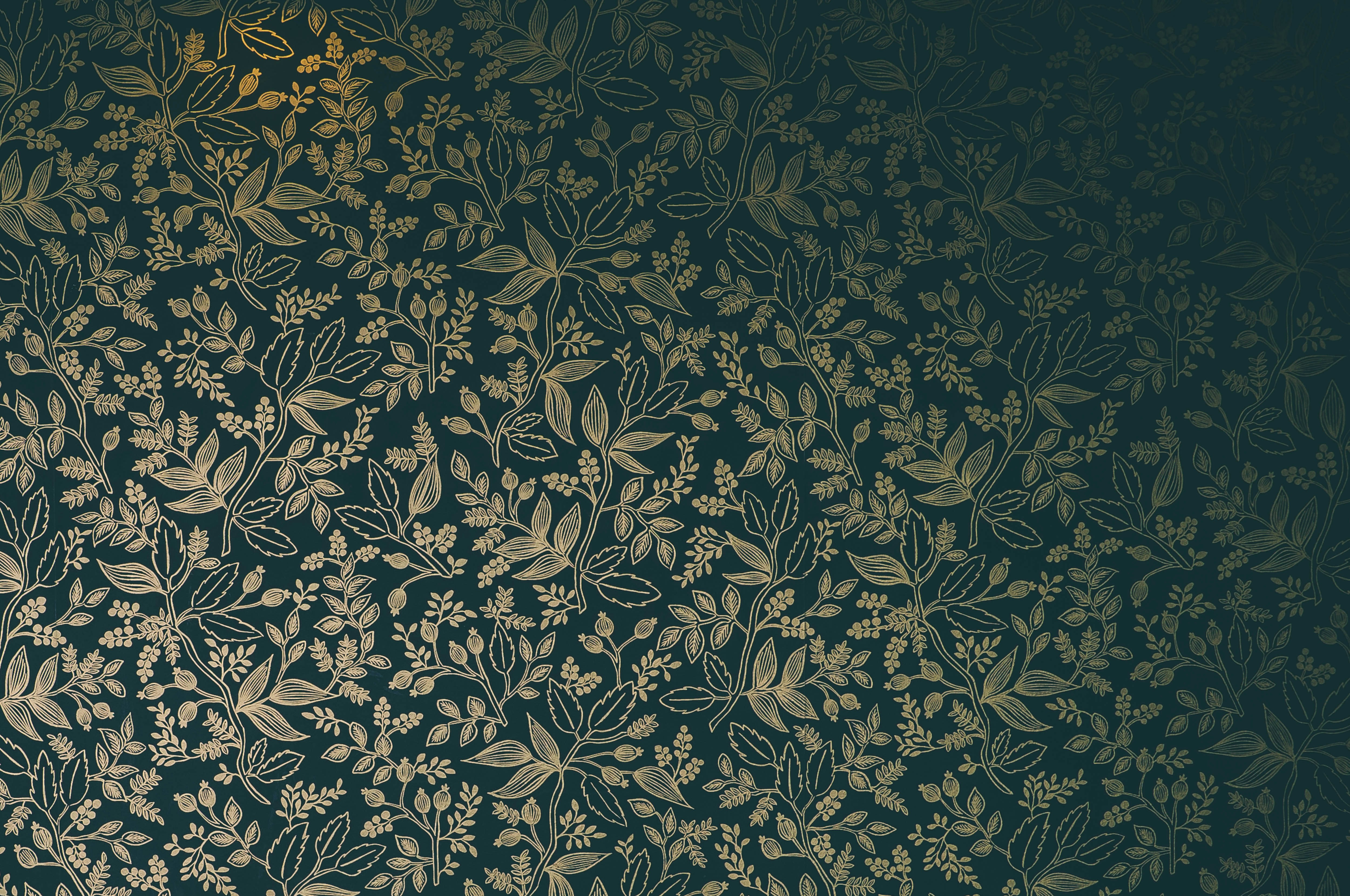 Photo By Matthew Smith