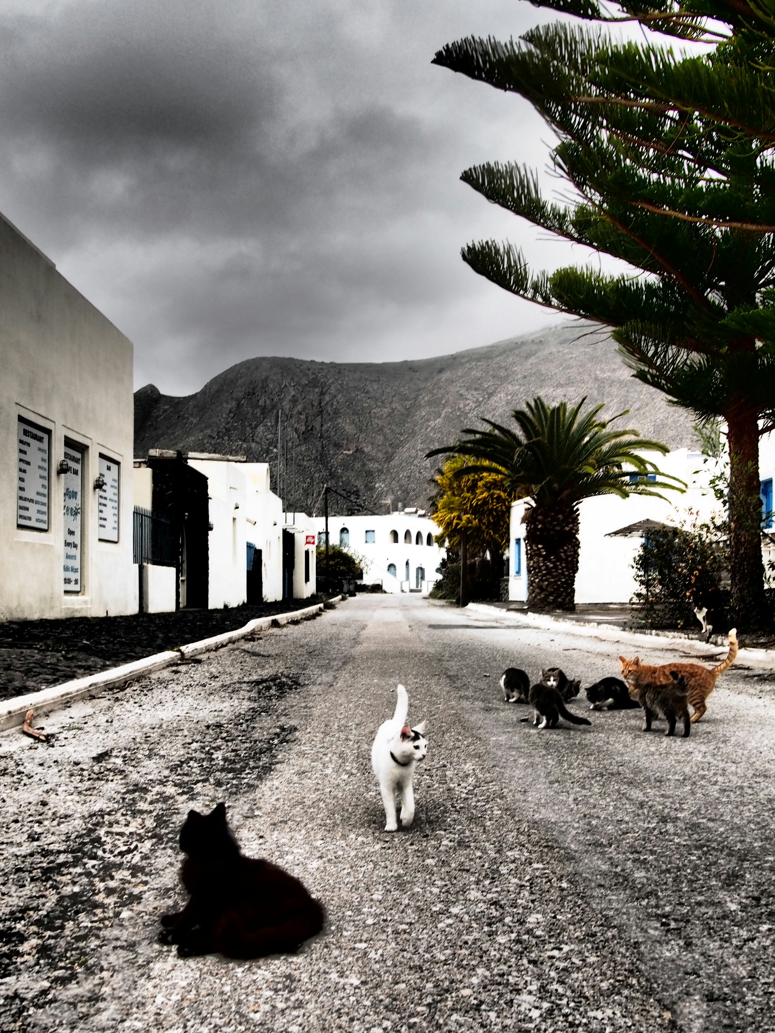 Free Unsplash photo from Anna Grau