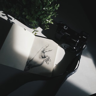 A composition featuring an open sketchbook with a detailed drawing of a hand, placed on a white surface partially illuminated by sunlight. To the right, a camera is visible, while a small potted plant sits in the upper left corner casting soft shadows.