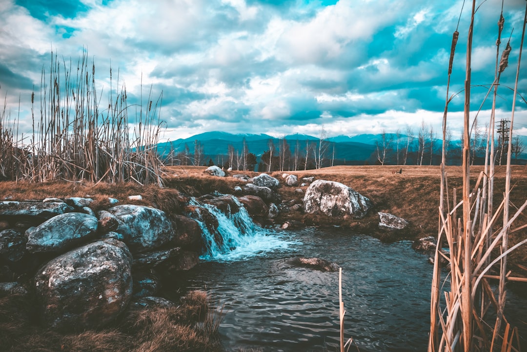 stream of water near brown soil and stone