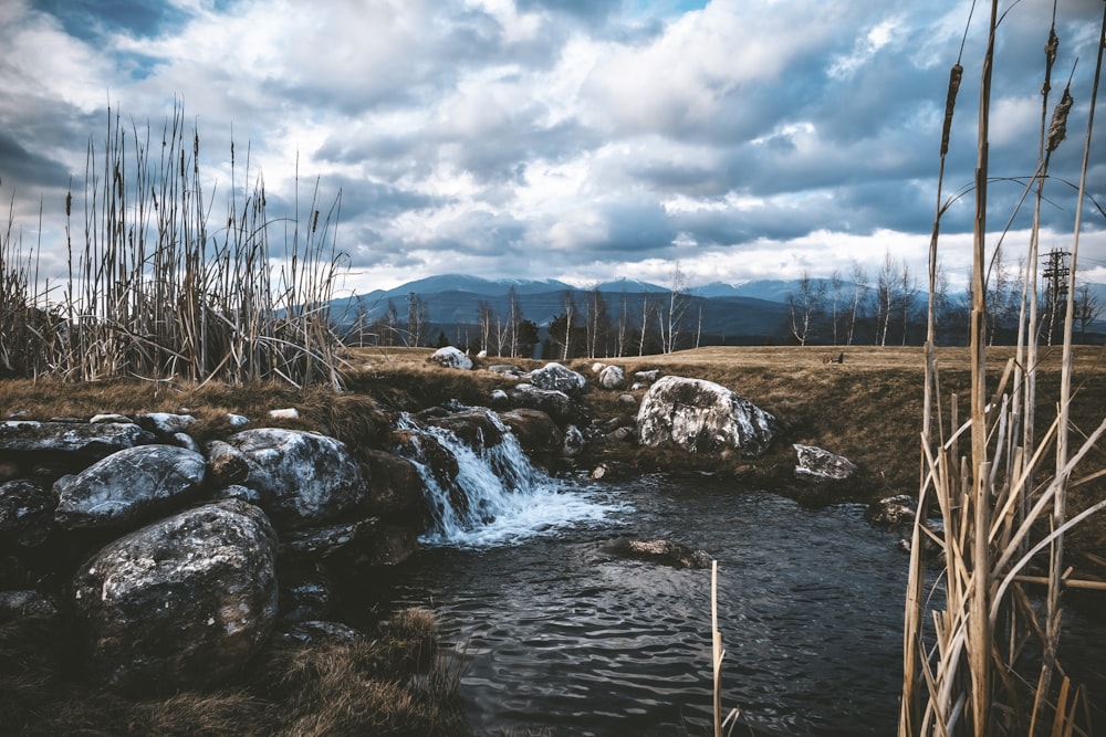 stream of water near brown soil and stone