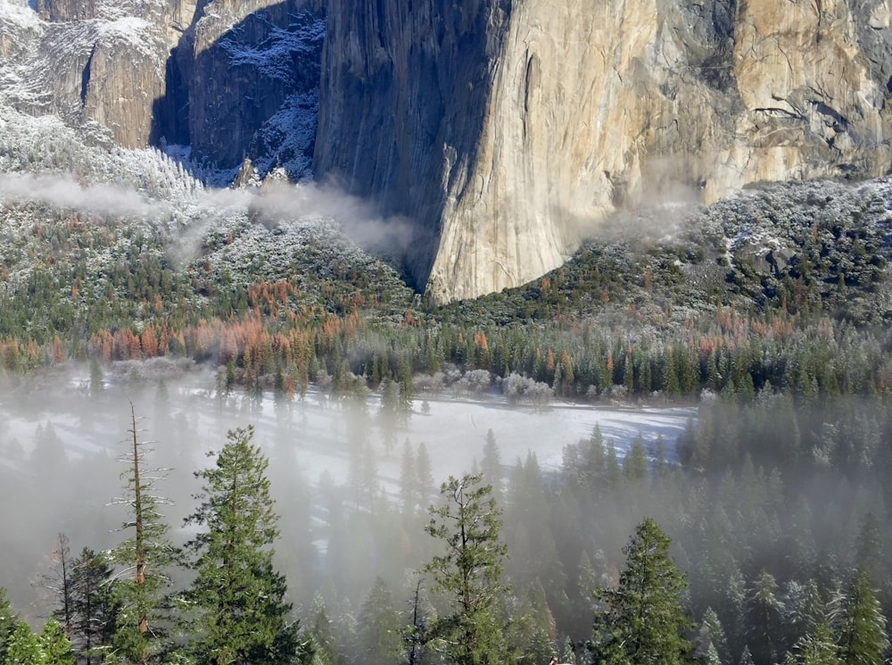 body of water near gray rock formation