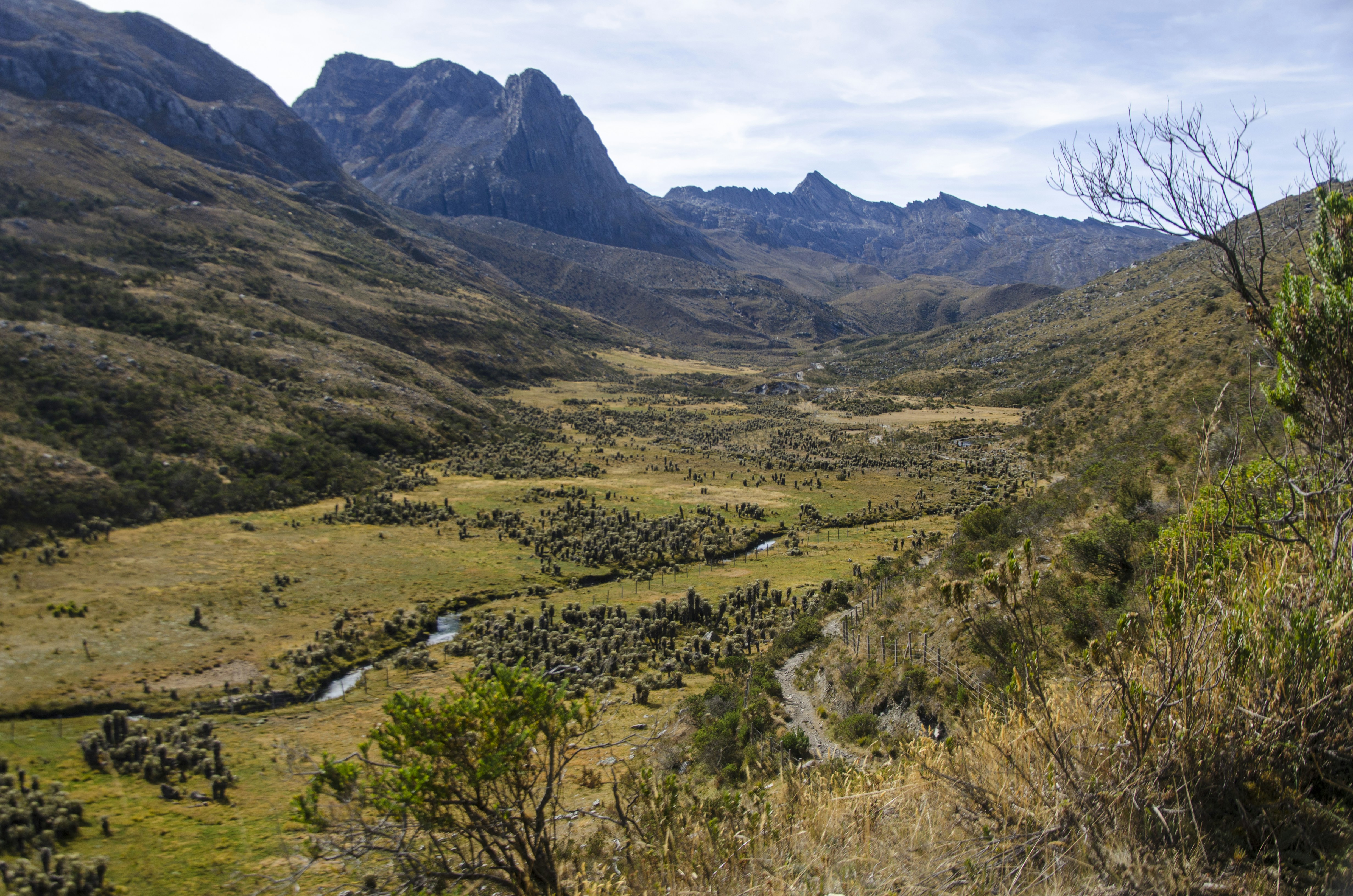 Free Unsplash photo from Daniel Ángel