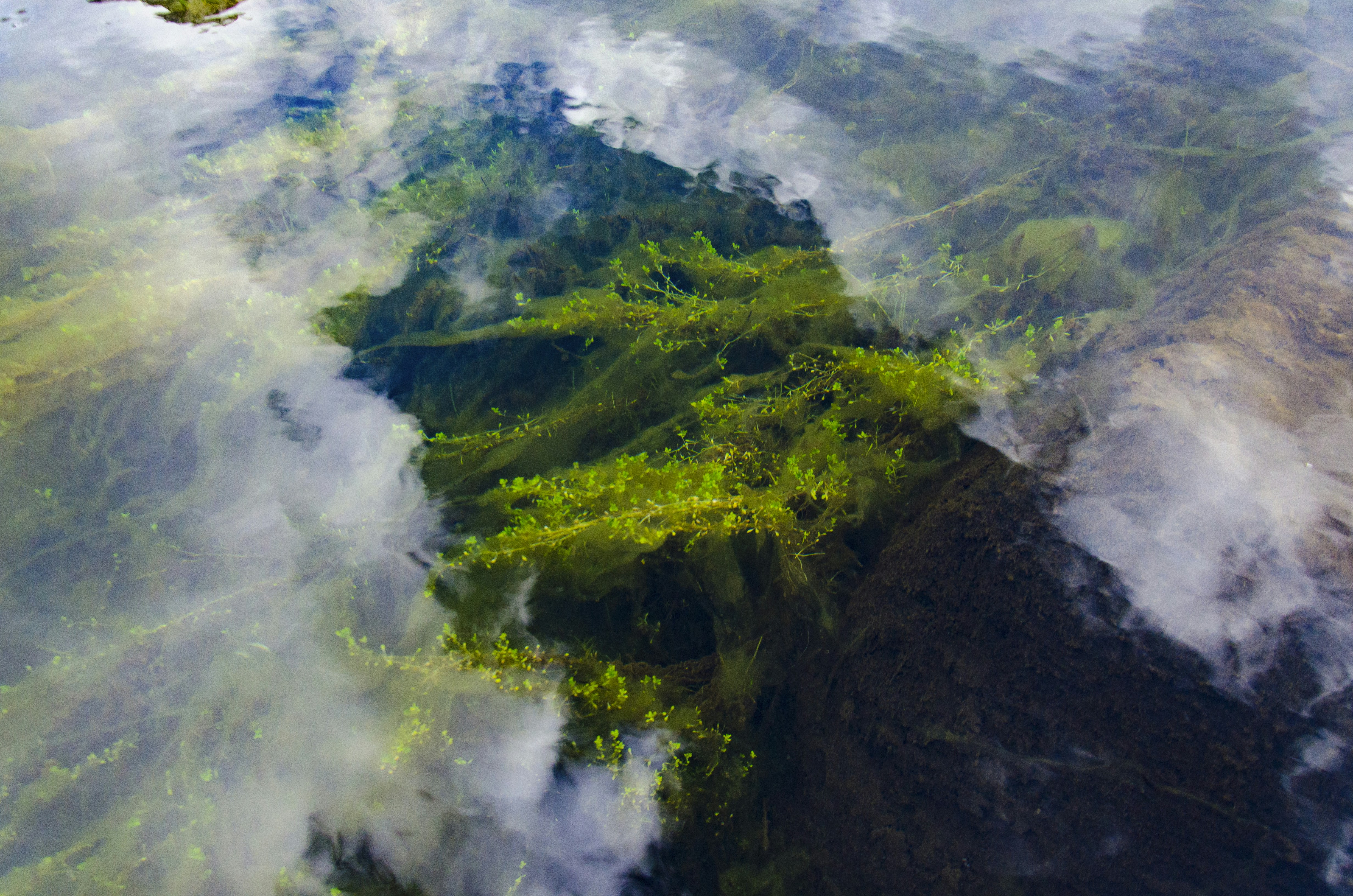 Free Unsplash photo from Daniel Ángel