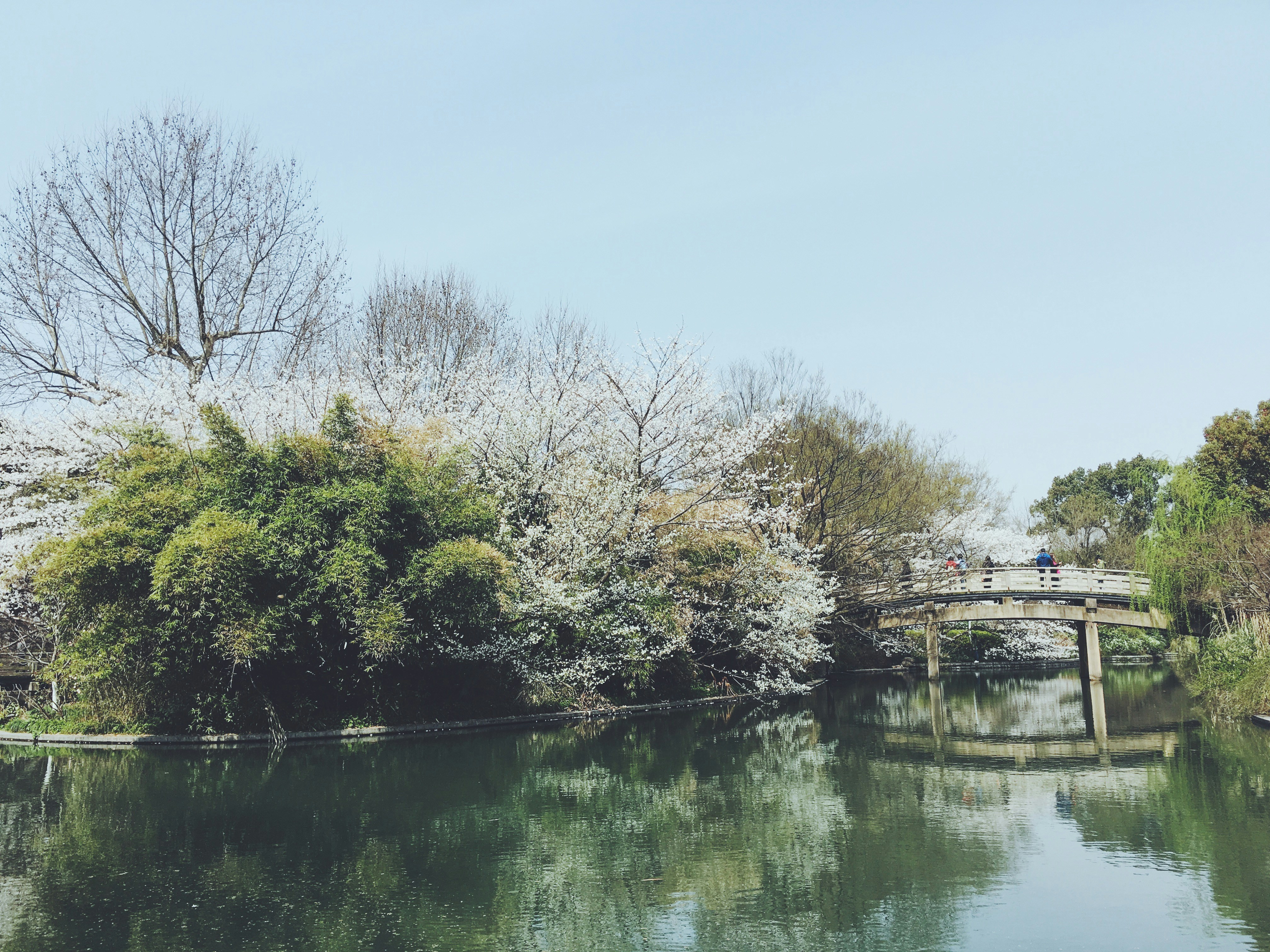 Free Unsplash photo from Christopher