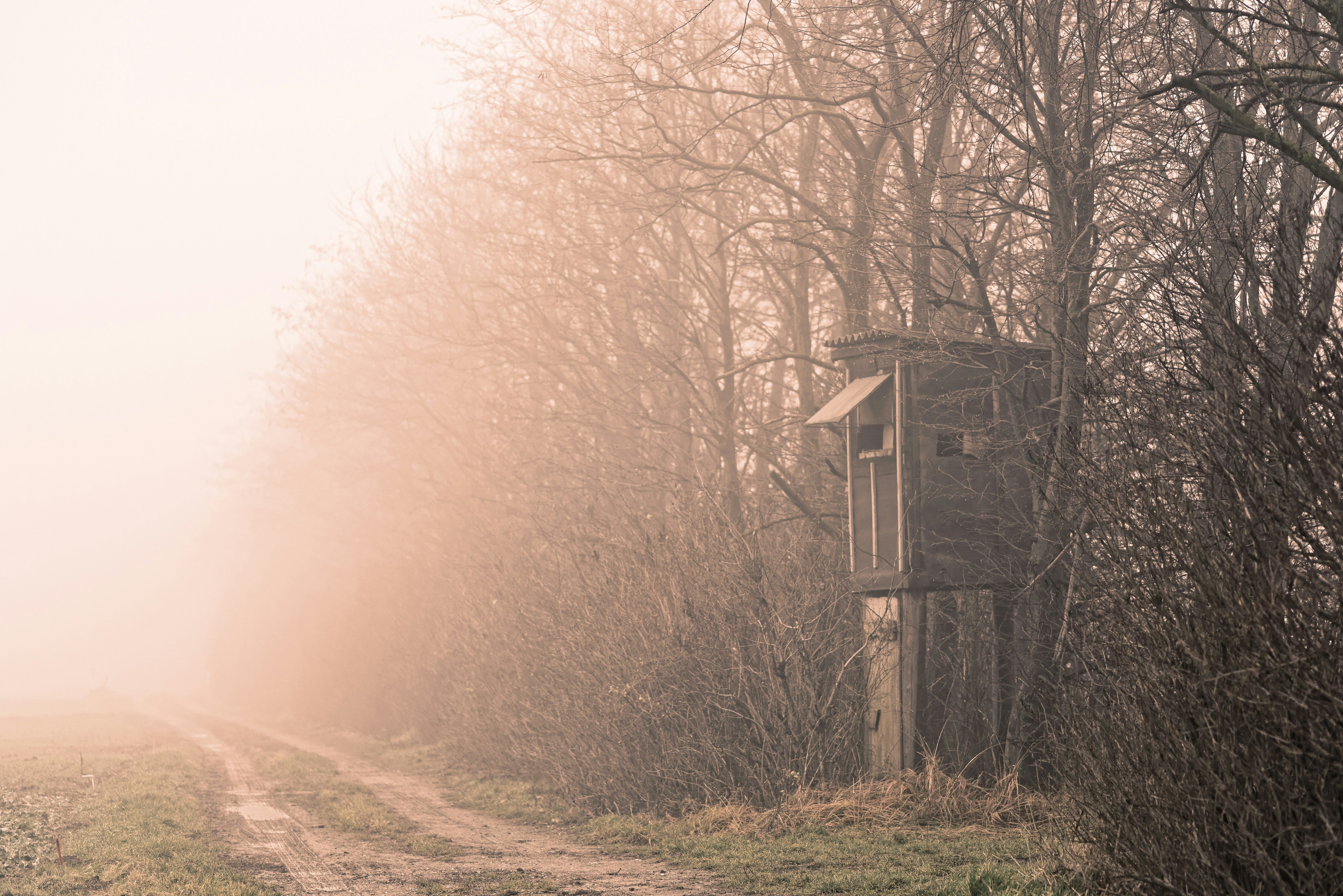 Free Unsplash photo from Martin Schiffer